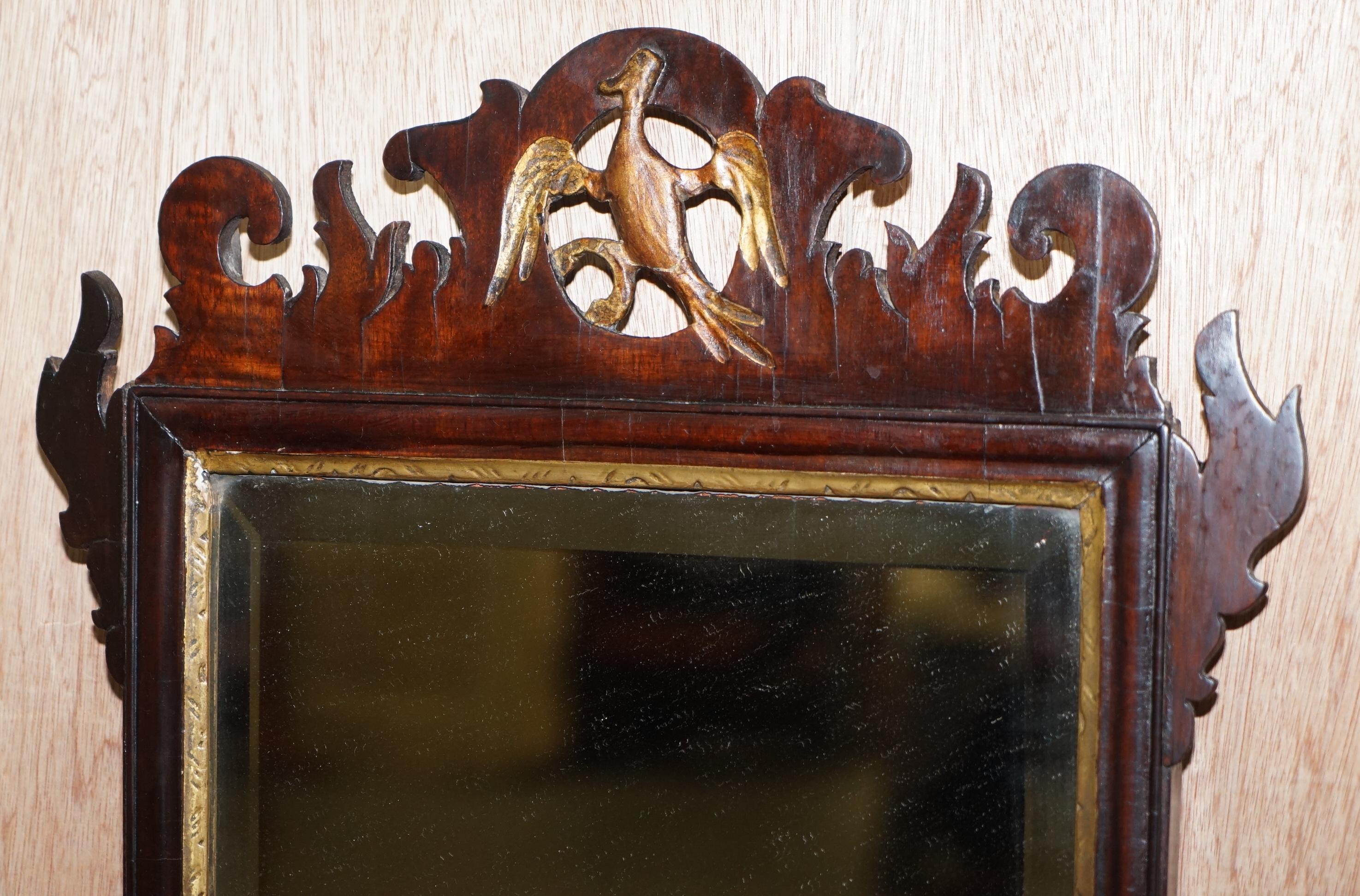 Nous sommes ravis d'offrir à la vente ce superbe miroir mural Phoenix Thomas Chippendale en acajou et bois doré datant d'environ 1760

Un miroir mural rare, de collection et très convoité. Connues sous le nom de miroir Thomas Chippendale Phoenix,