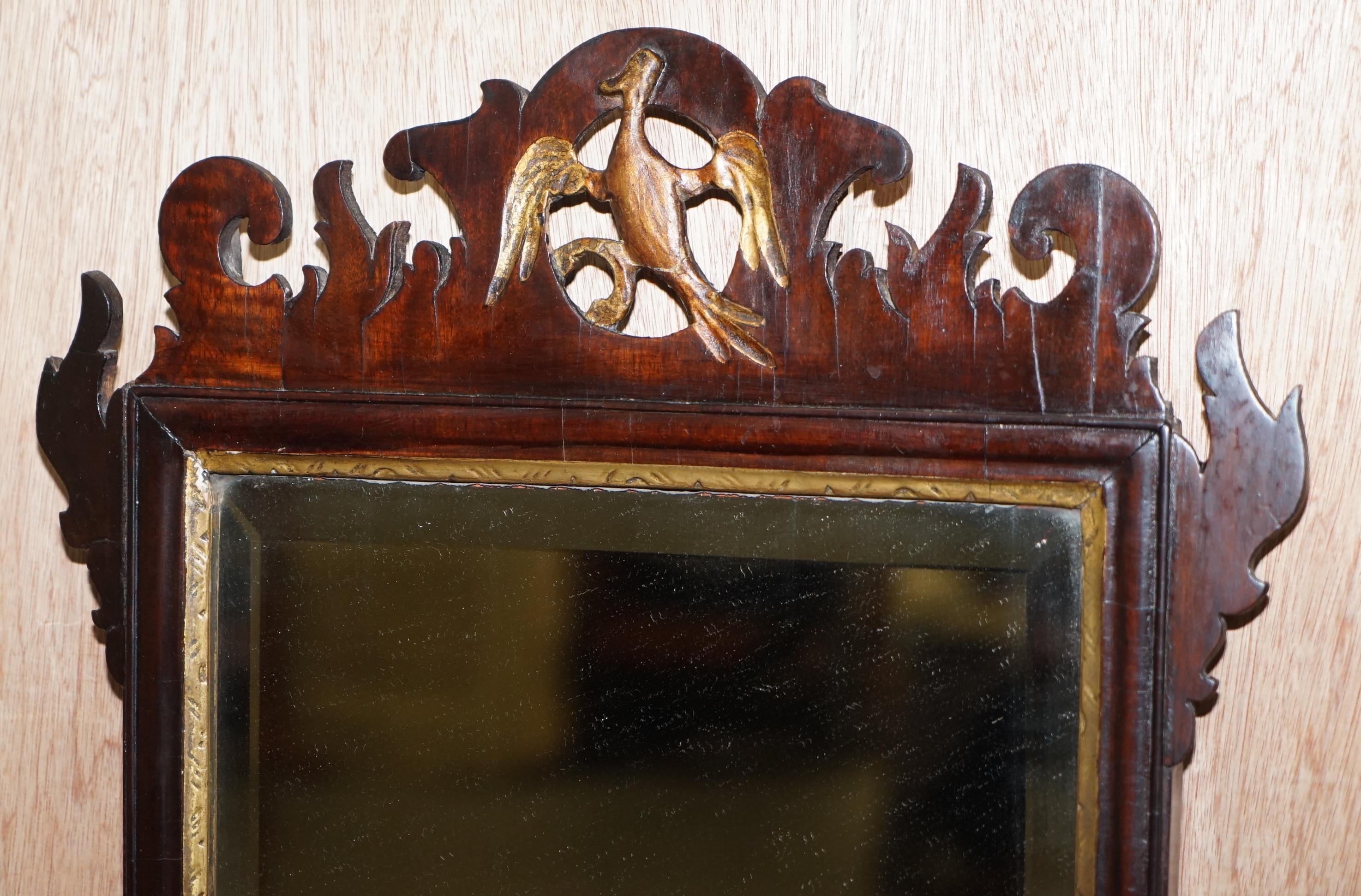 We are delighted to offer for sale this stunning circa 1760 mahogany and giltwood Phoenix Thomas Chippendale wall mirror

A rare, collectable and highly coveted wall mirror. Known as the Thomas Chippendale Phoenix mirror these are quintessentially