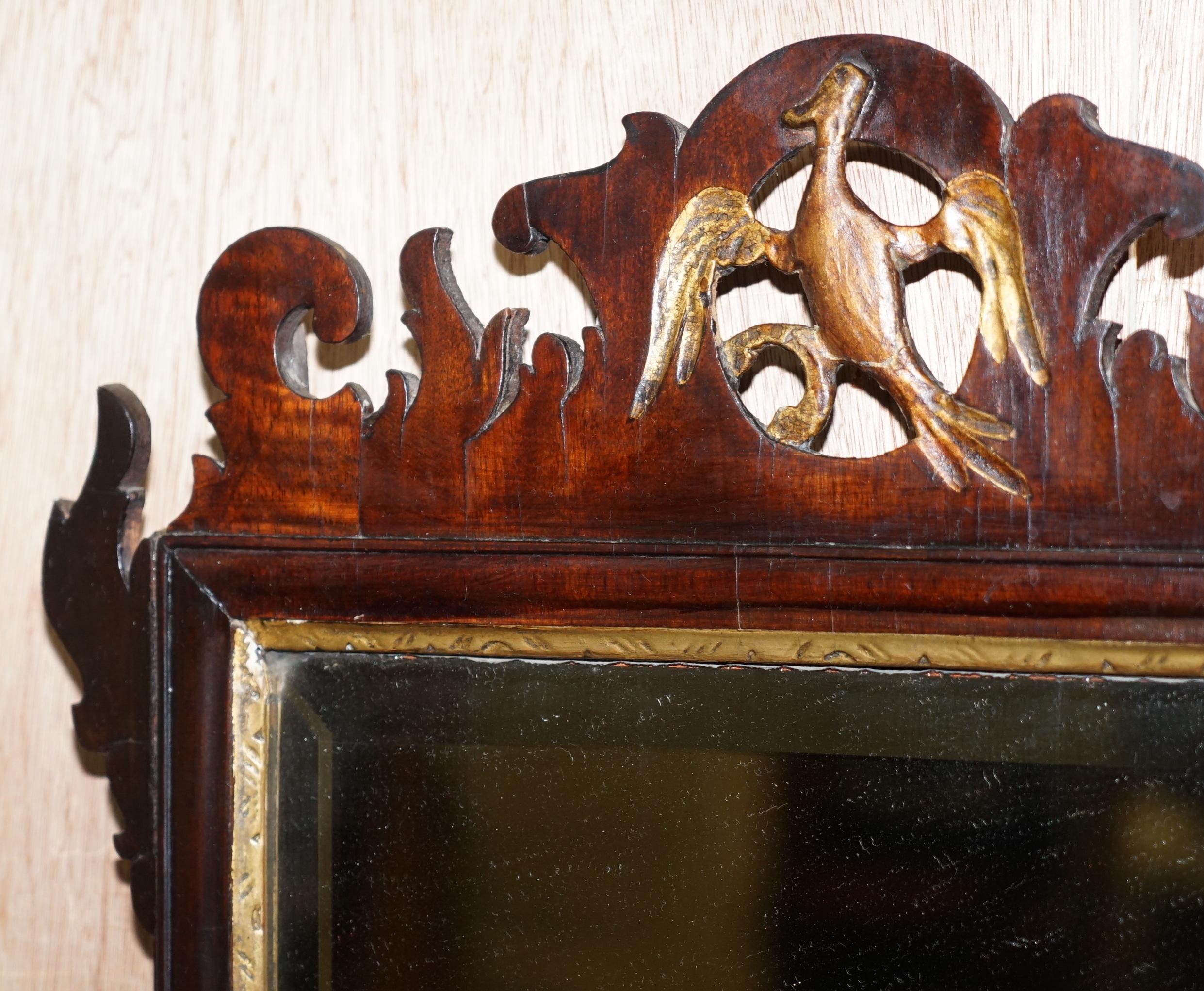 Georgien Superbe miroir géorgien de Thomas Chippendale Phoenix en bois dur et doré, datant d'environ 1760 en vente