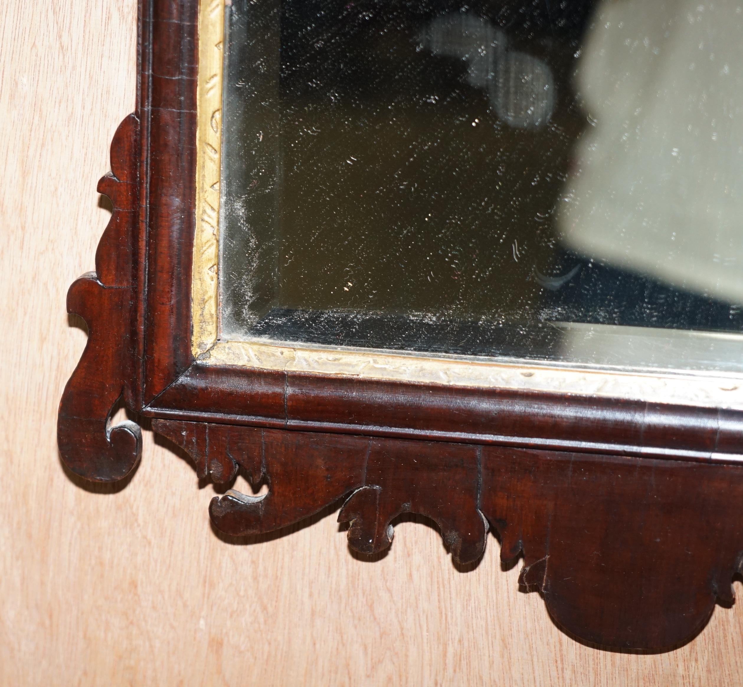 Superbe miroir géorgien de Thomas Chippendale Phoenix en bois dur et doré, datant d'environ 1760 Bon état - En vente à West Sussex, Pulborough