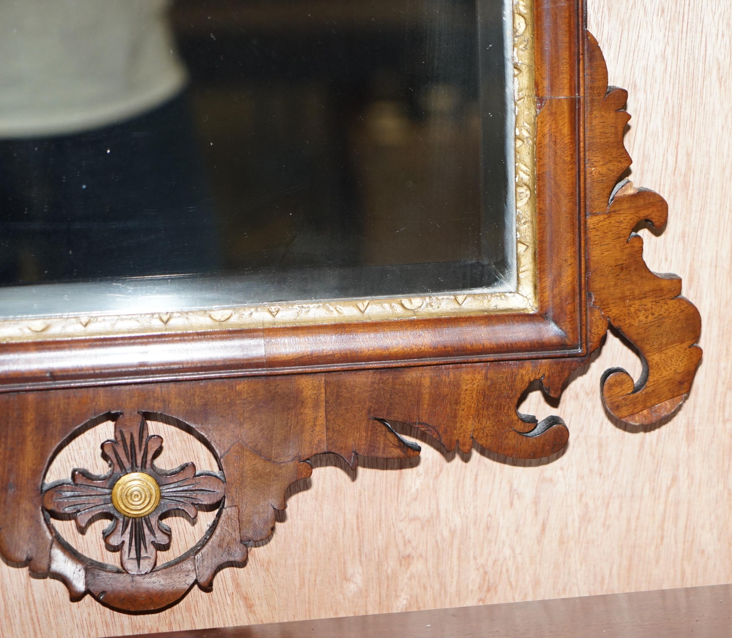 Stunning Georgian circa 1760 Thomas Chippendale Phoenix Mirror Giltwood Walnut 3