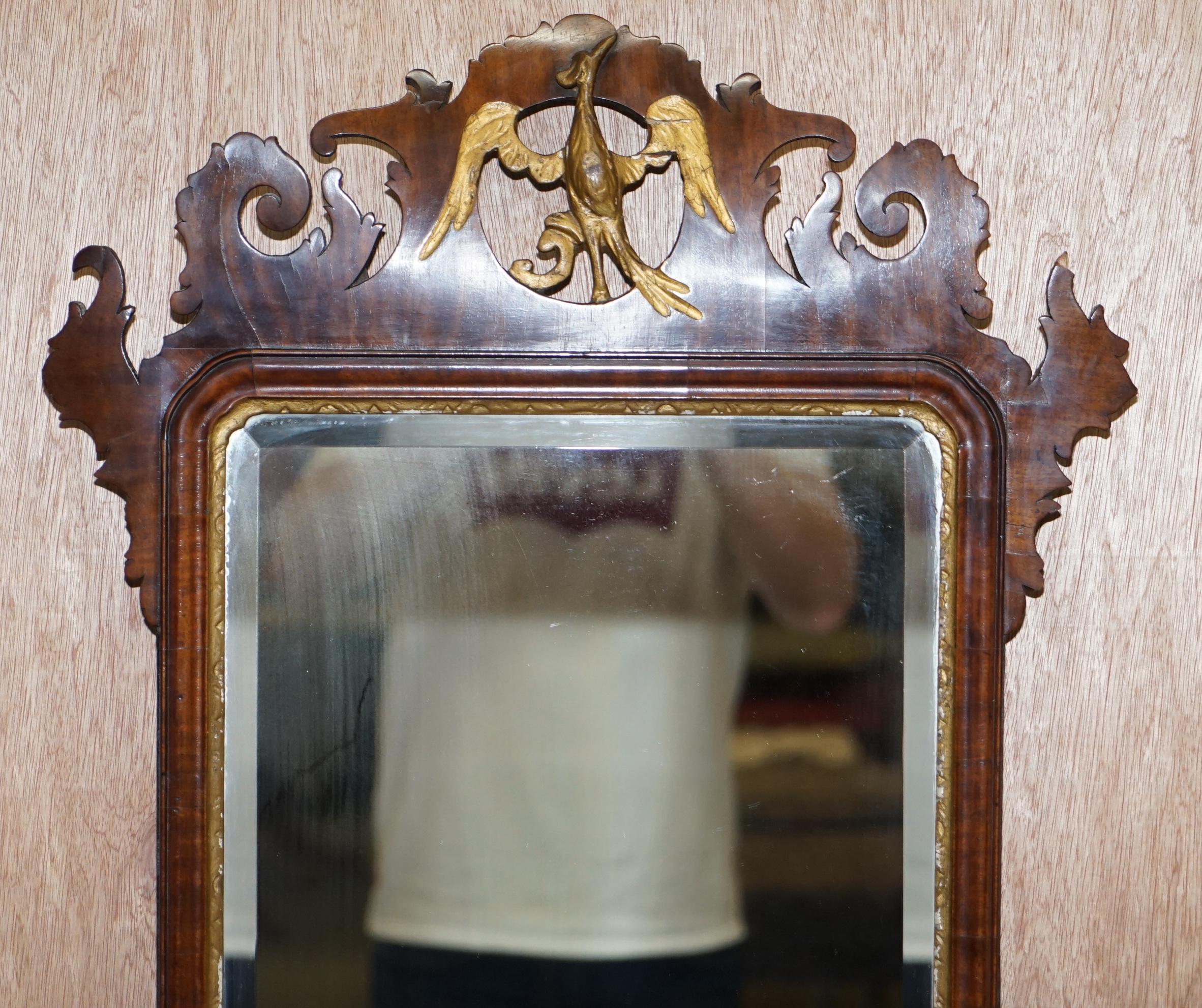 We are delighted to offer for sale this stunning circa 1760 mahogany and giltwood Phoenix Thomas Chippendale wall mirror

A rare, collectable and highly coveted wall mirror. Known as the Thomas Chippendale Phoenix mirror these are quintessentially