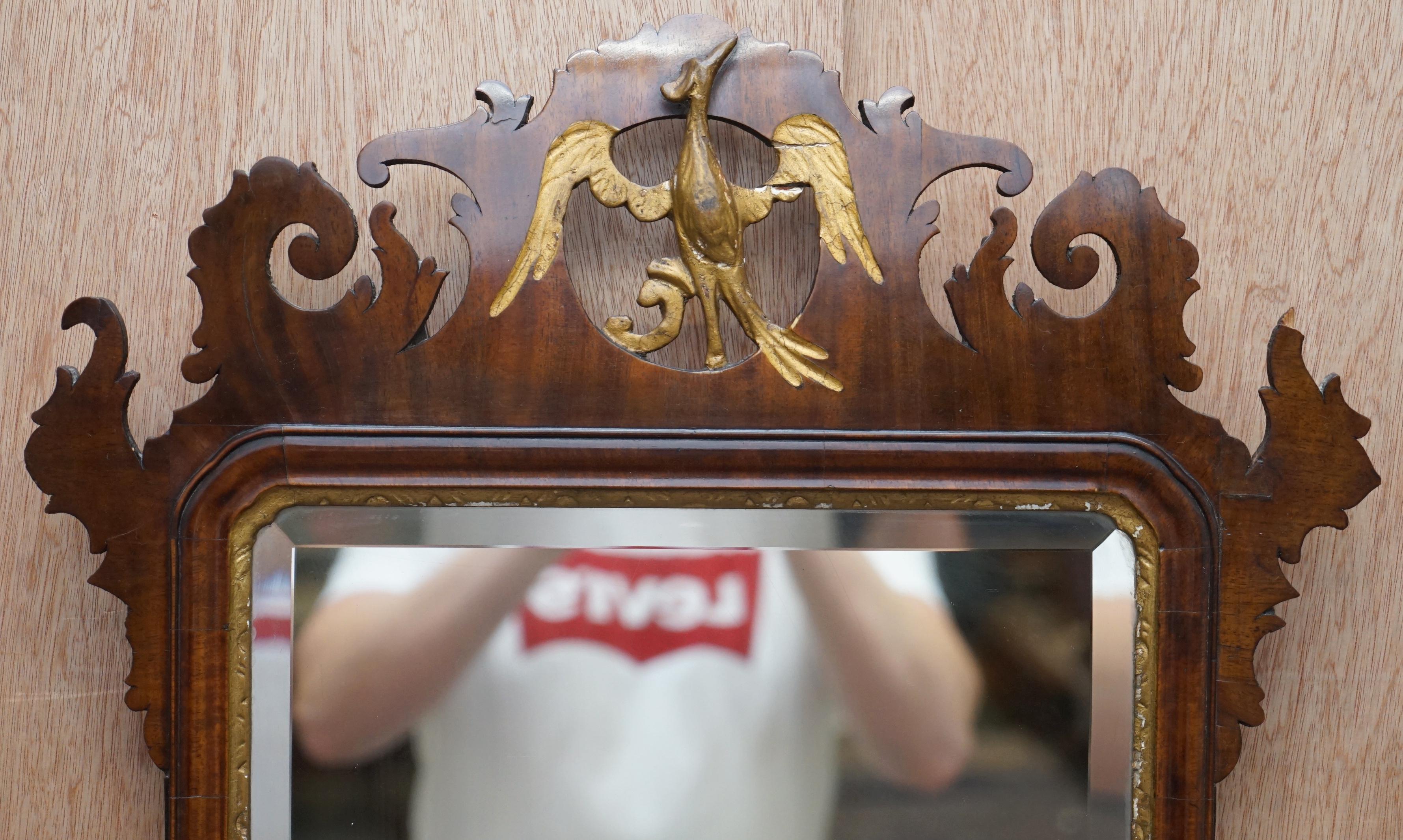 phoenix mirrors