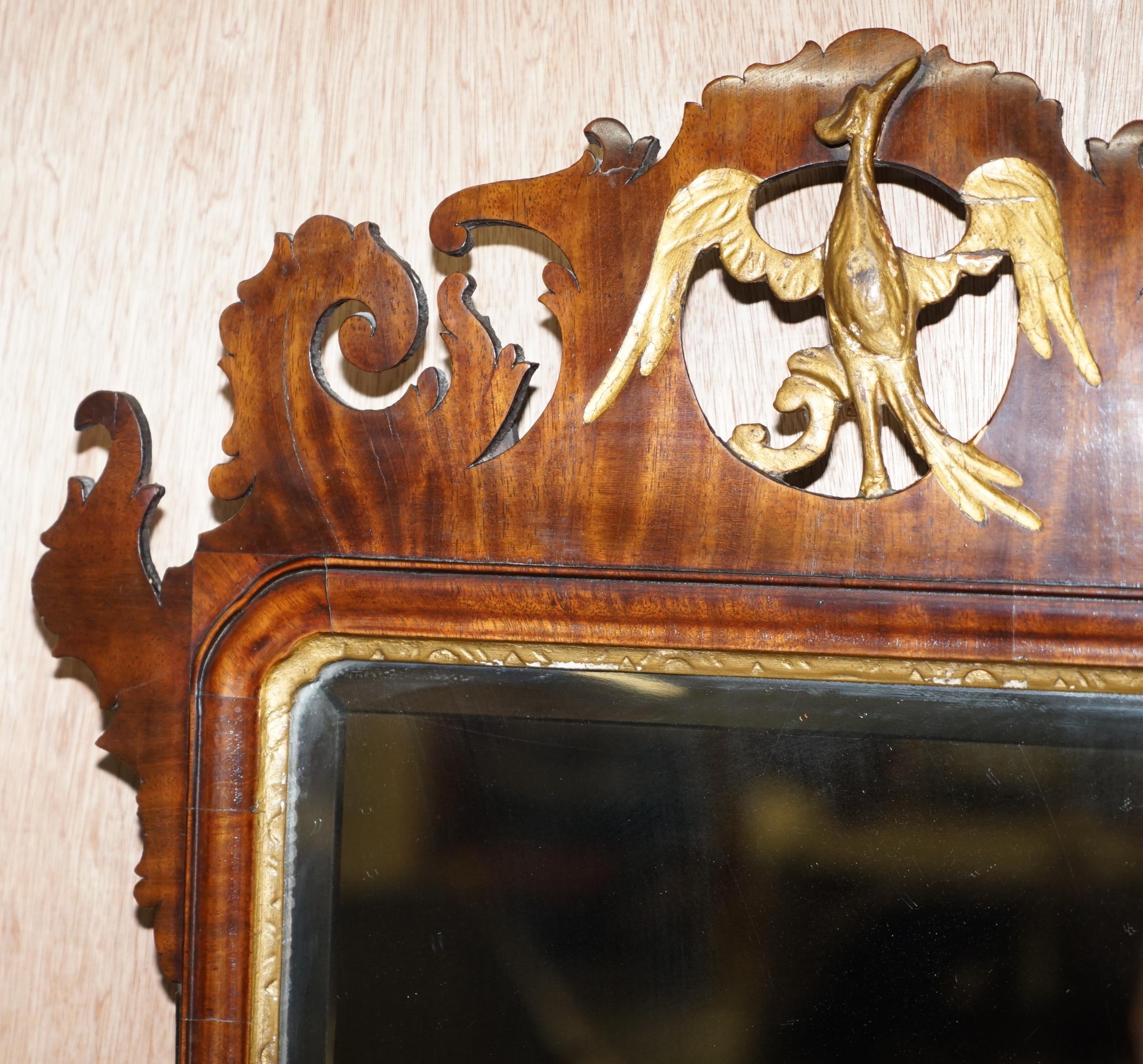 English Stunning Georgian circa 1760 Thomas Chippendale Phoenix Mirror Giltwood Walnut