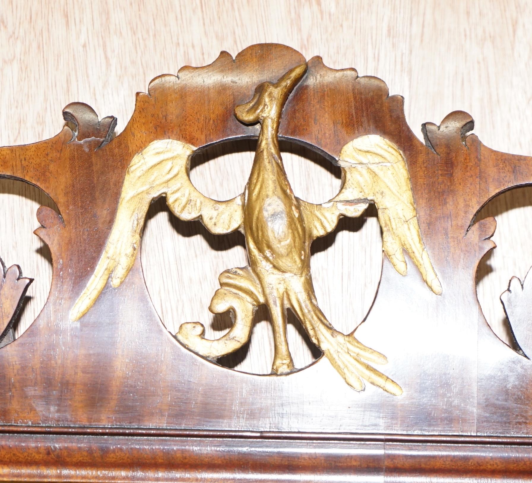 Hand-Crafted Stunning Georgian circa 1760 Thomas Chippendale Phoenix Mirror Giltwood Walnut