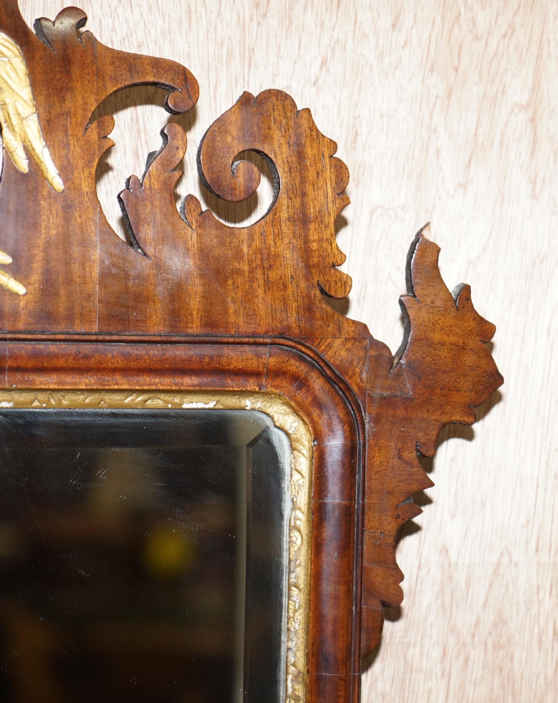 Stunning Georgian circa 1760 Thomas Chippendale Phoenix Mirror Giltwood Walnut In Good Condition In West Sussex, Pulborough