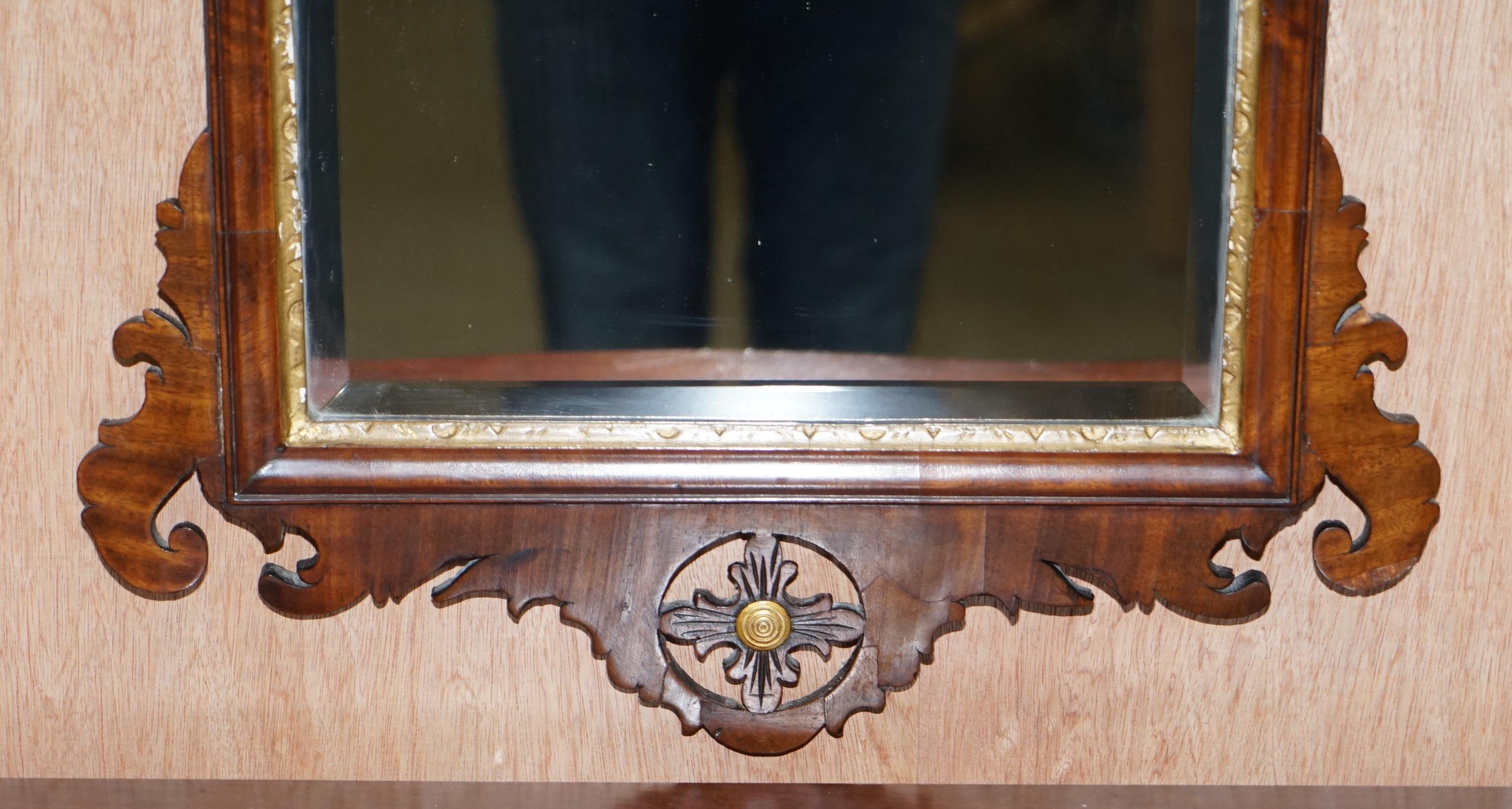 Mid-18th Century Stunning Georgian circa 1760 Thomas Chippendale Phoenix Mirror Giltwood Walnut