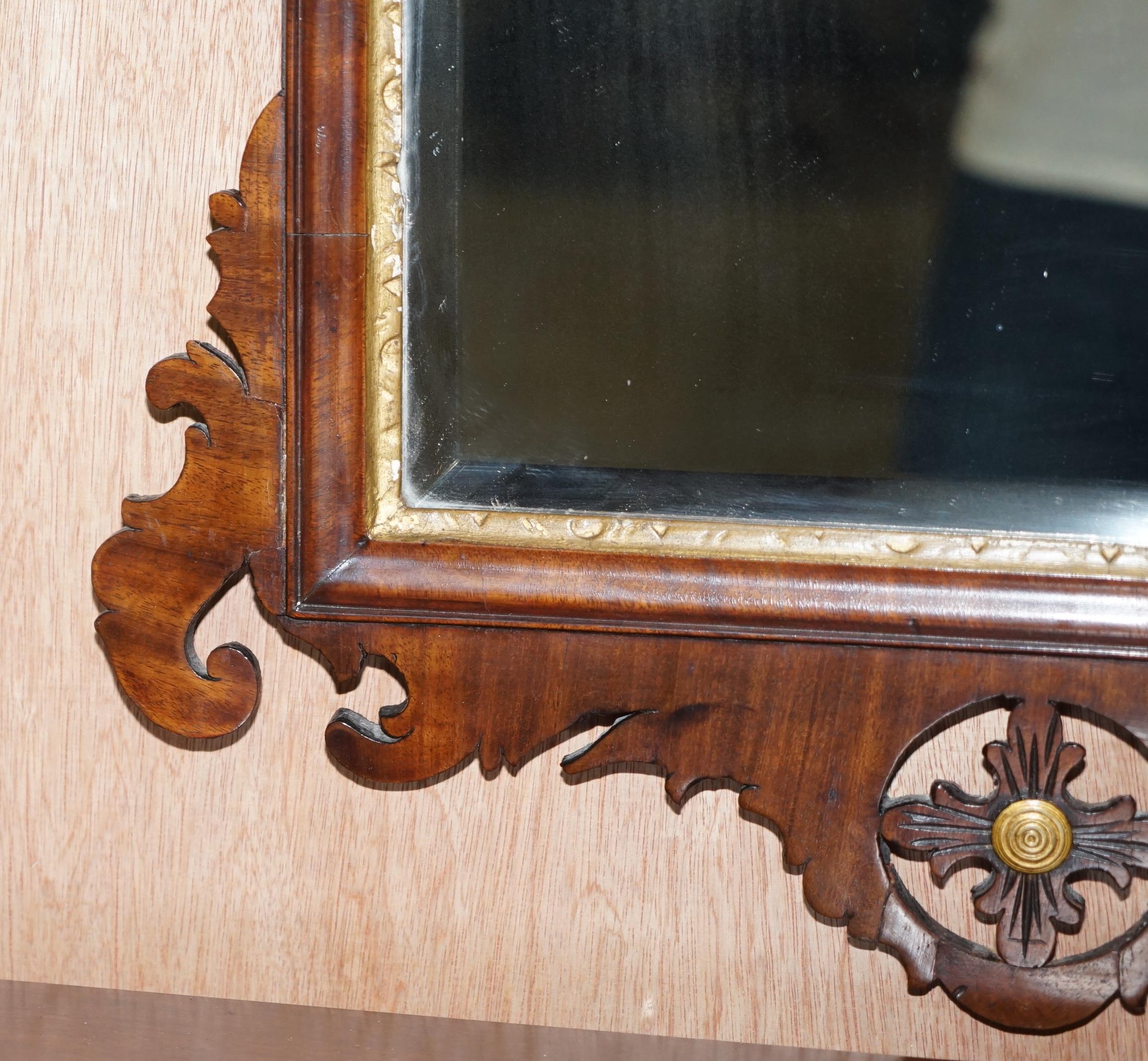 Stunning Georgian circa 1760 Thomas Chippendale Phoenix Mirror Giltwood Walnut 1