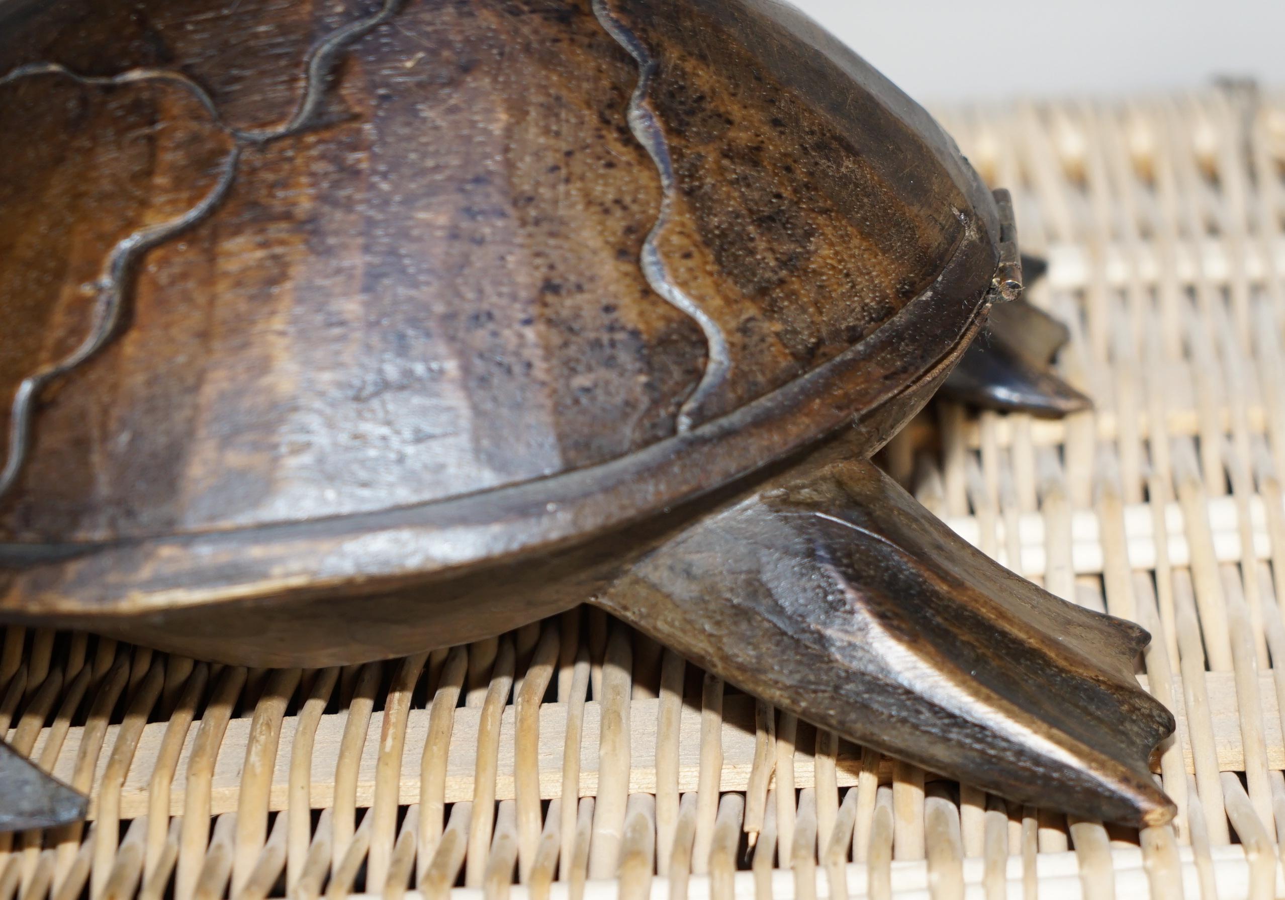 Stunning Hand Carved Vintage Wood of Sea Turtle, Back Lifts Up Small Compartment 2