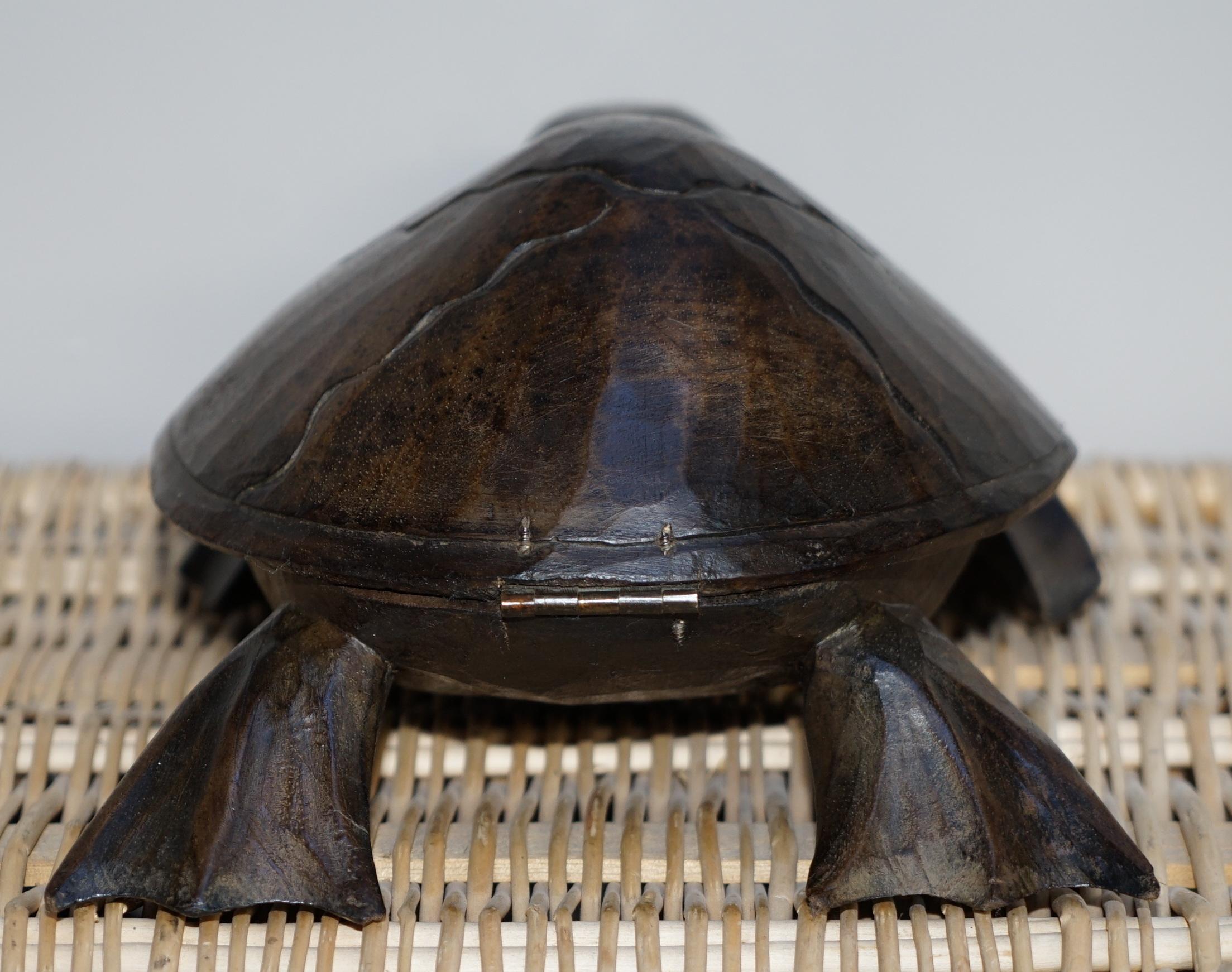 Stunning Hand Carved Vintage Wood of Sea Turtle, Back Lifts Up Small Compartment 3