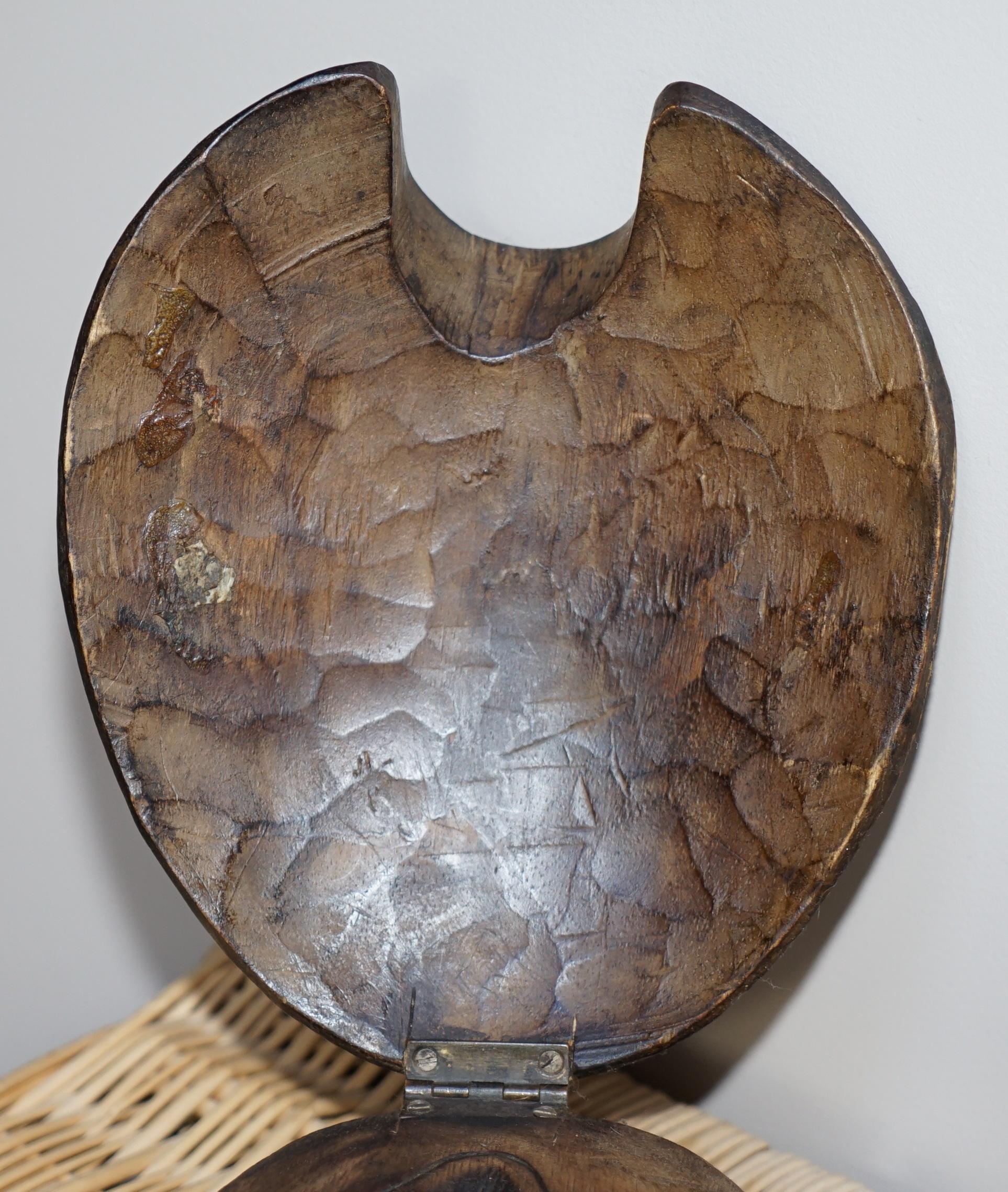 Stunning Hand Carved Vintage Wood of Sea Turtle, Back Lifts Up Small Compartment 7