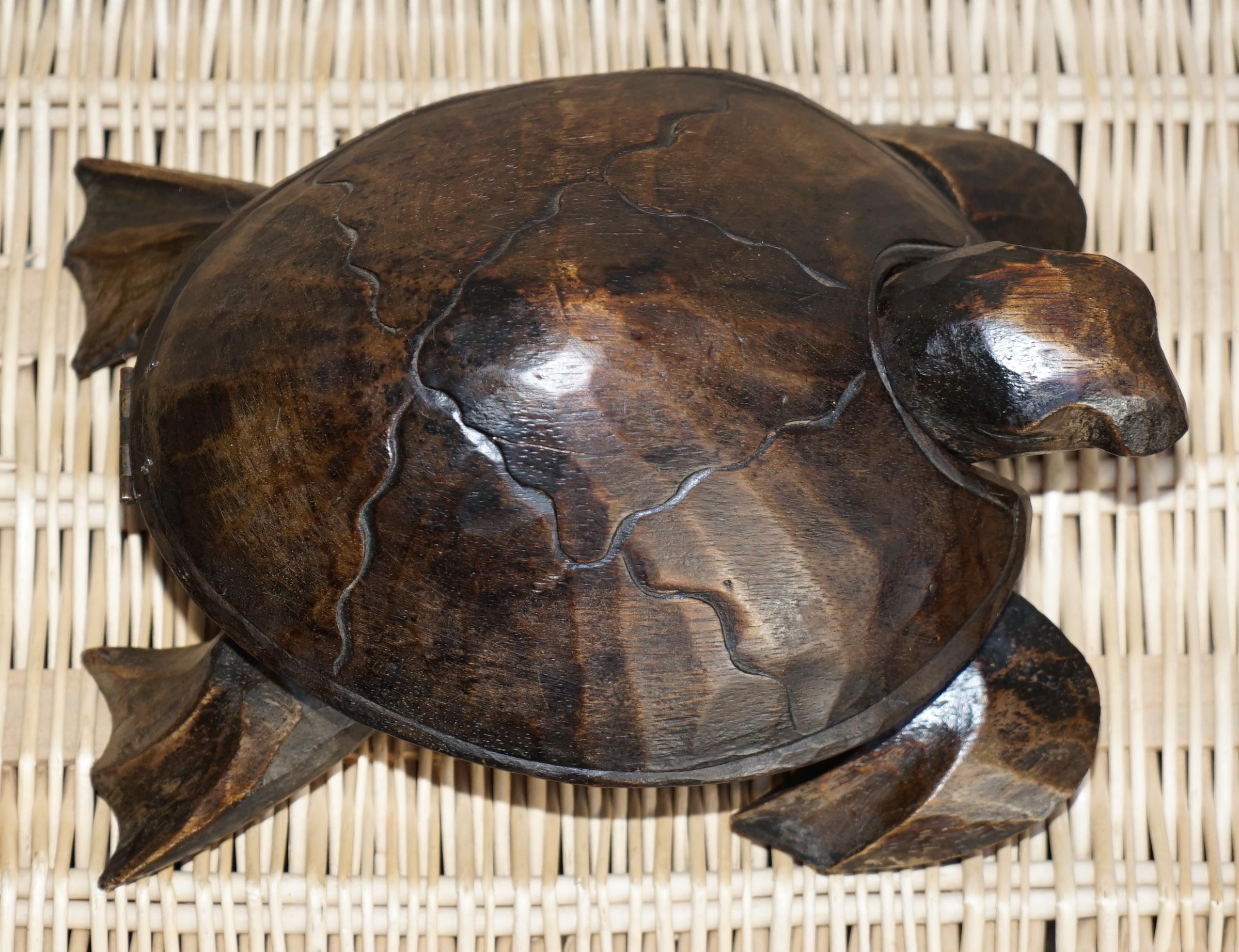 carved sea turtle