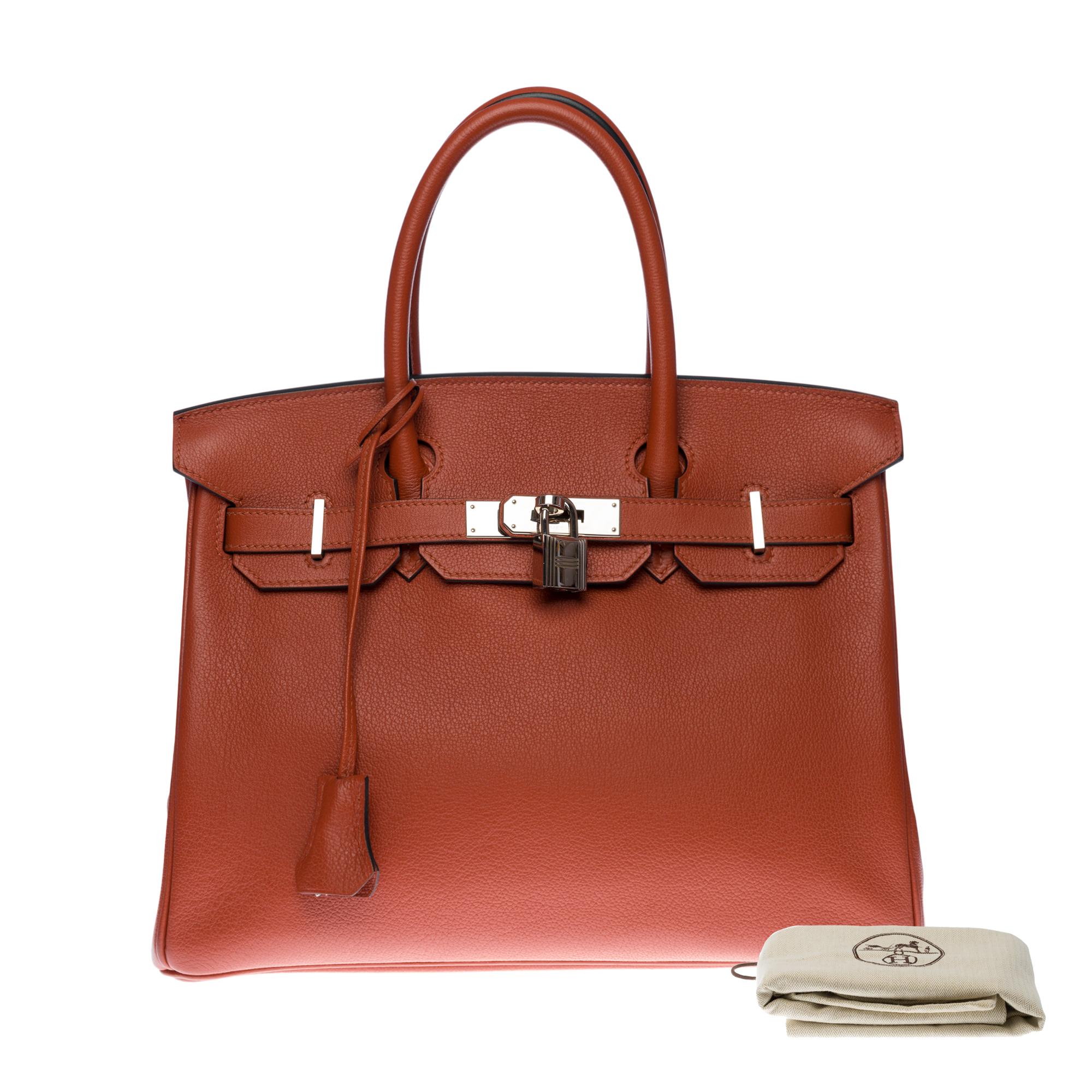 Stunning Hermès Birkin 30 handbag in Cuivre/Copper Mysore Goat leather, SHW 3