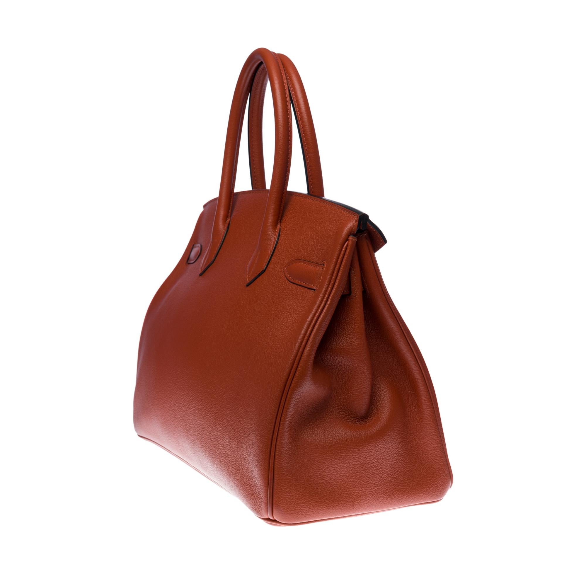 Atemberaubende Hermès Birkin 30 Handtasche aus Cuivre/Kupfer Mysore Ziegenleder, SHW im Zustand „Hervorragend“ in Paris, IDF