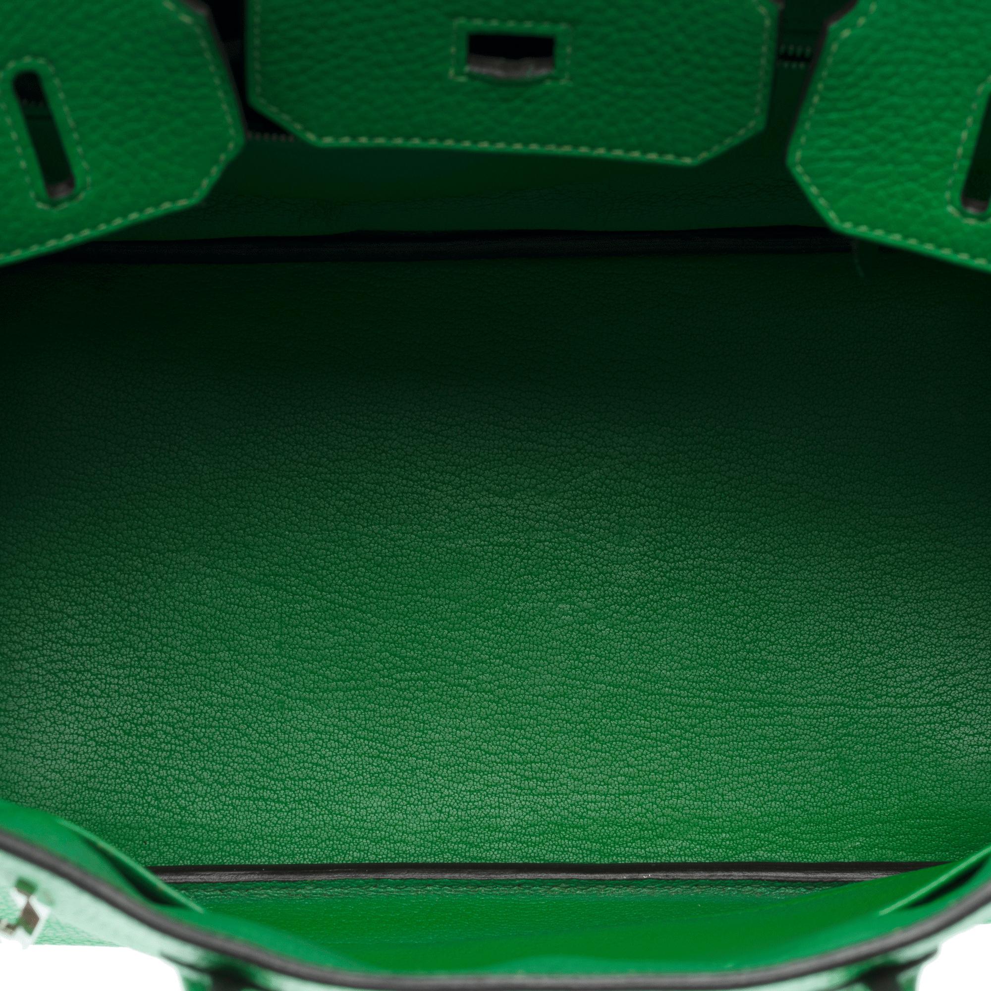 Hermes Birkin 30 handbag in Green Bamboo Taurillon Clemence leather, PHW For Sale 4
