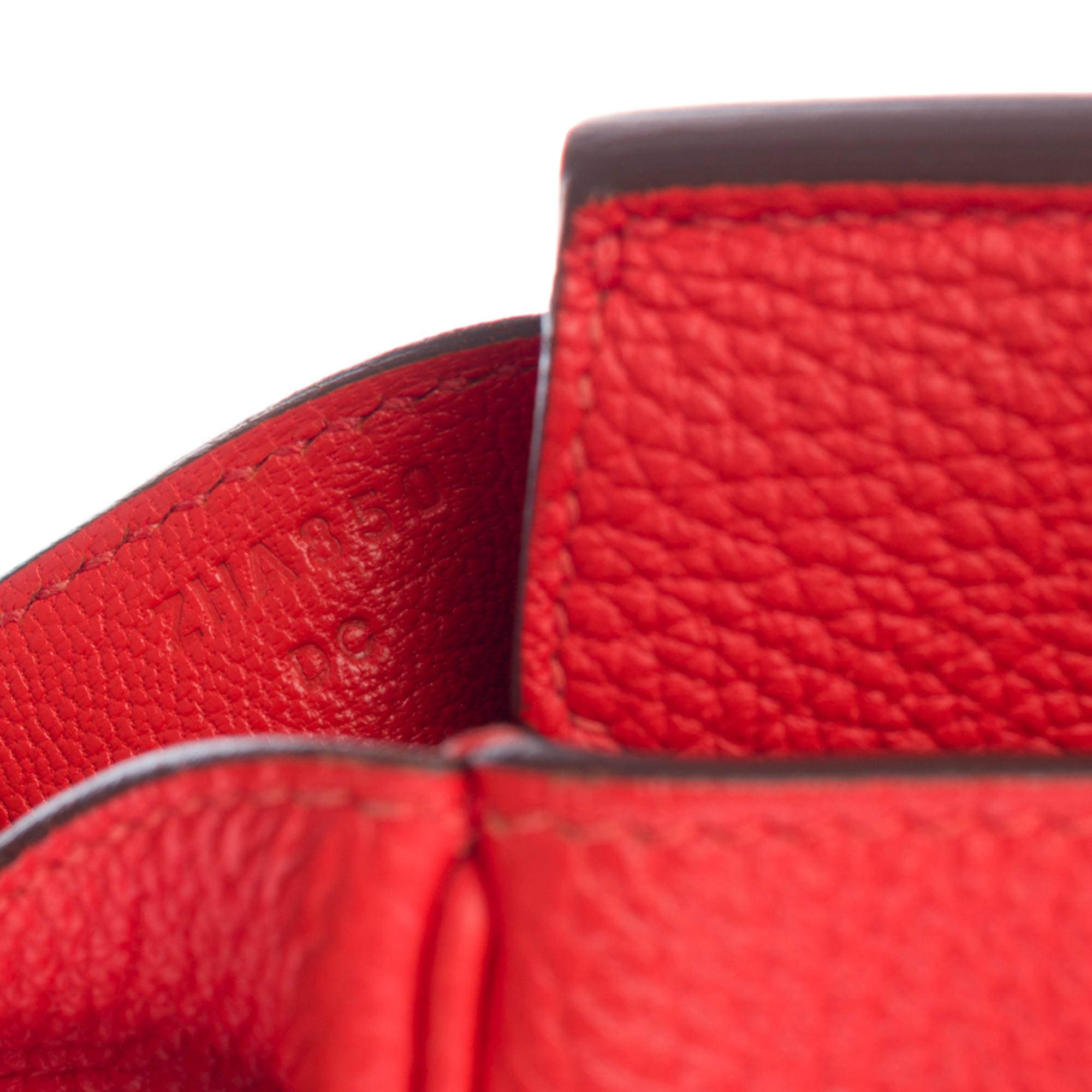 Stunning Hermès Birkin 30 handbag in Rouge Capucine Togo leather, GHW 1