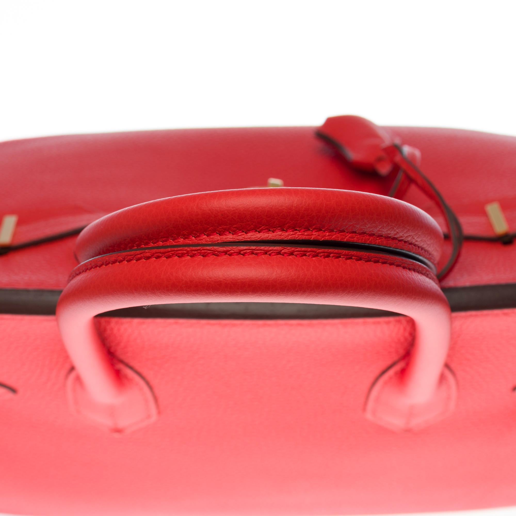 Stunning Hermès Birkin 30 handbag in Rouge Capucine Togo leather, GHW 3