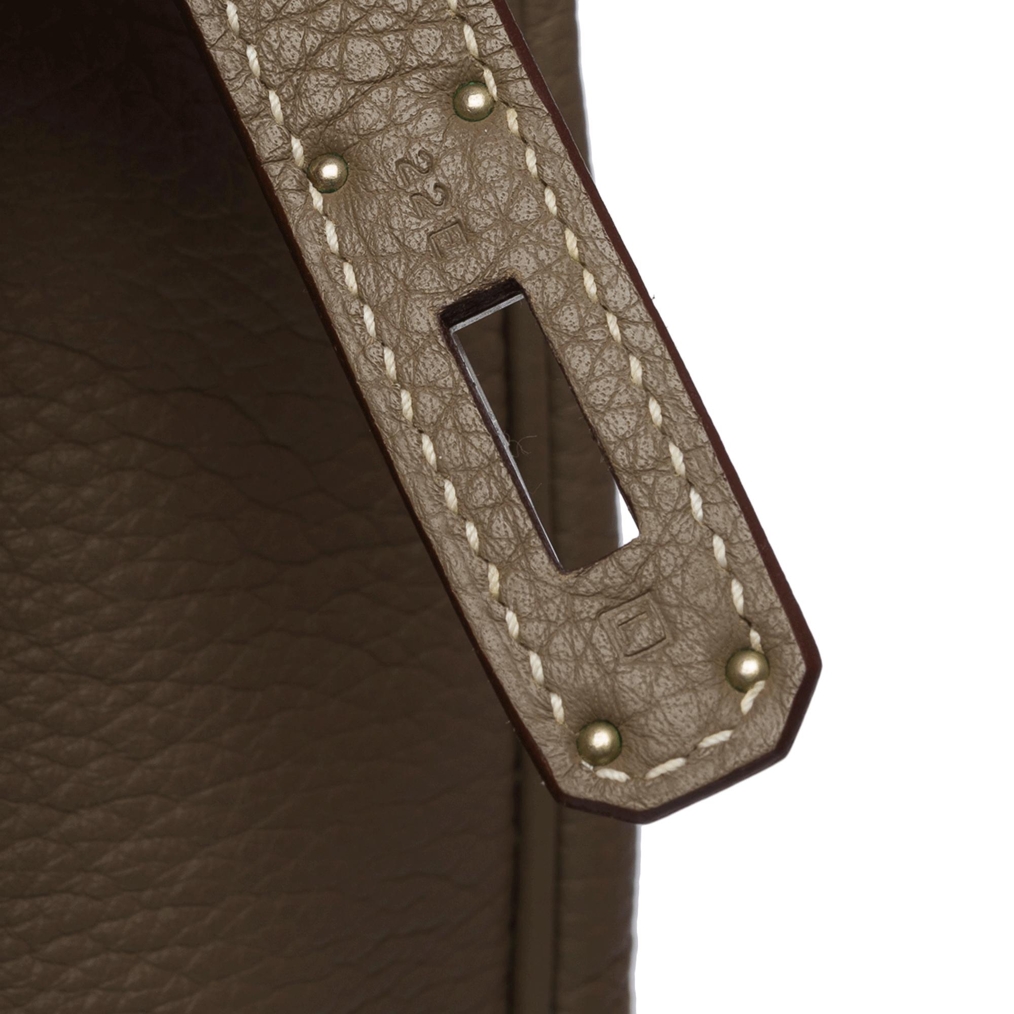 Stunning Hermès Birkin 35 handbag in Etoupe Taurillon Clemence calf leather, PHW For Sale 3