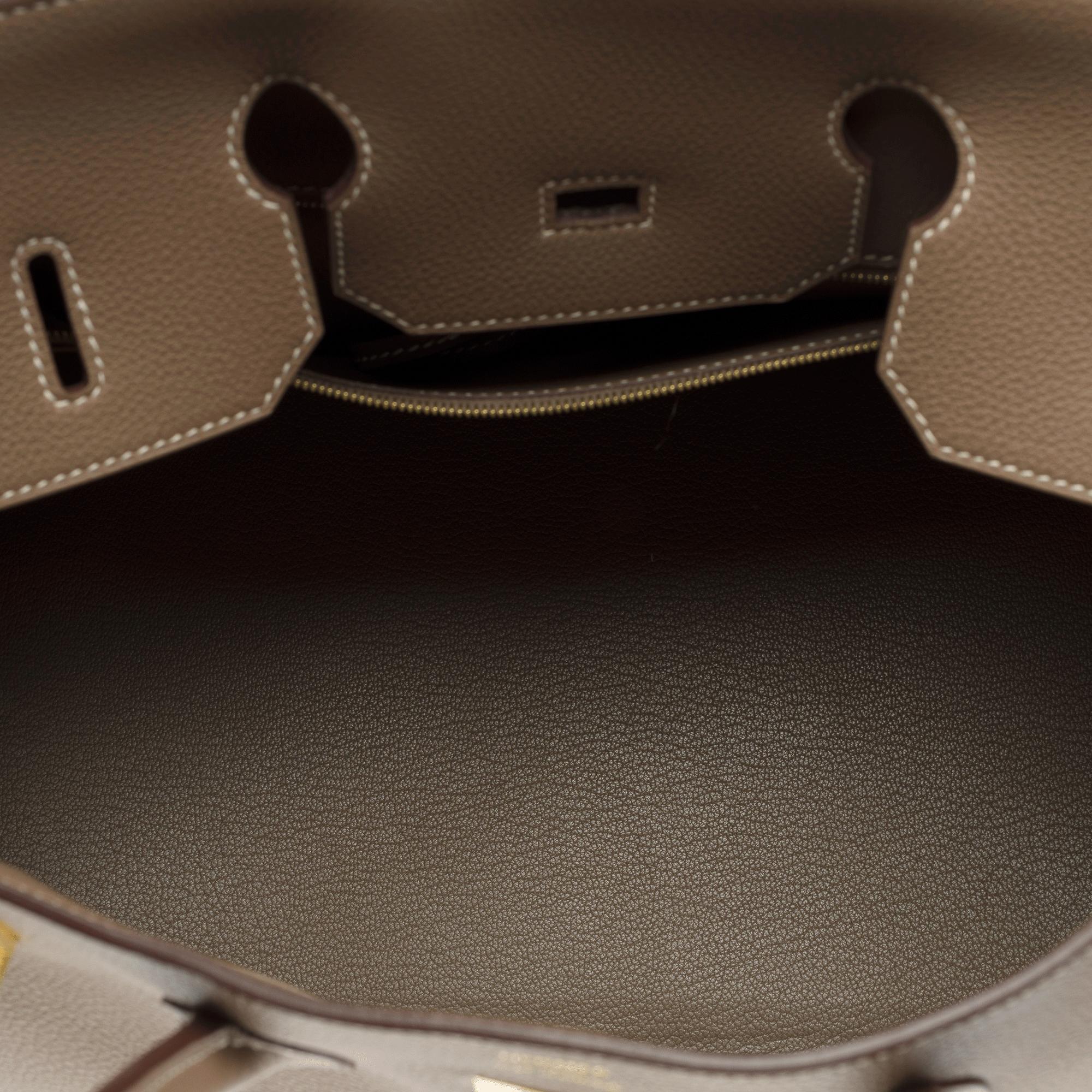 Stunning Hermès Birkin 35 handbag in Etoupe Togo calf leather, GHW 5