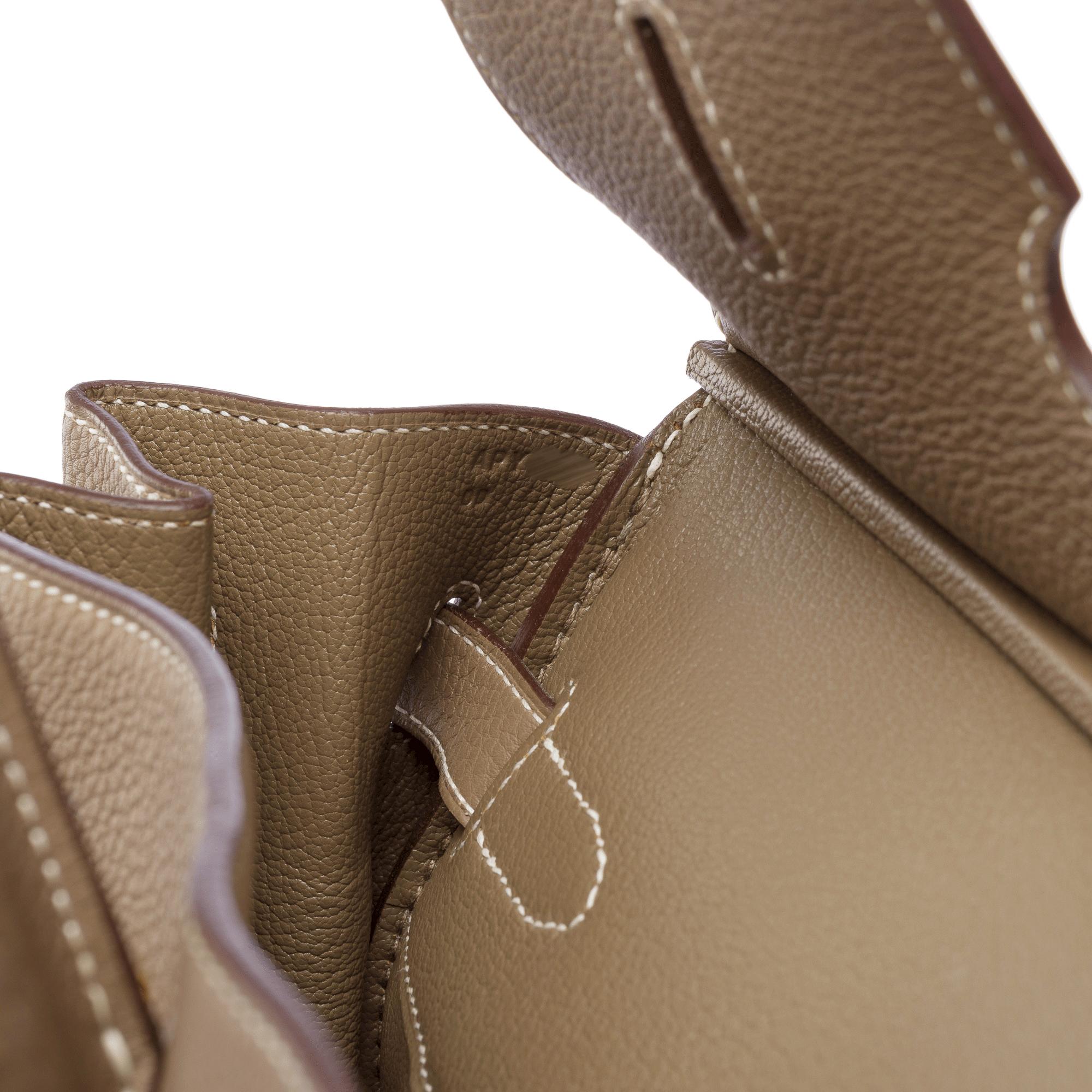 Stunning Hermès Birkin 35 handbag in Etoupe Togo calf leather, GHW 4