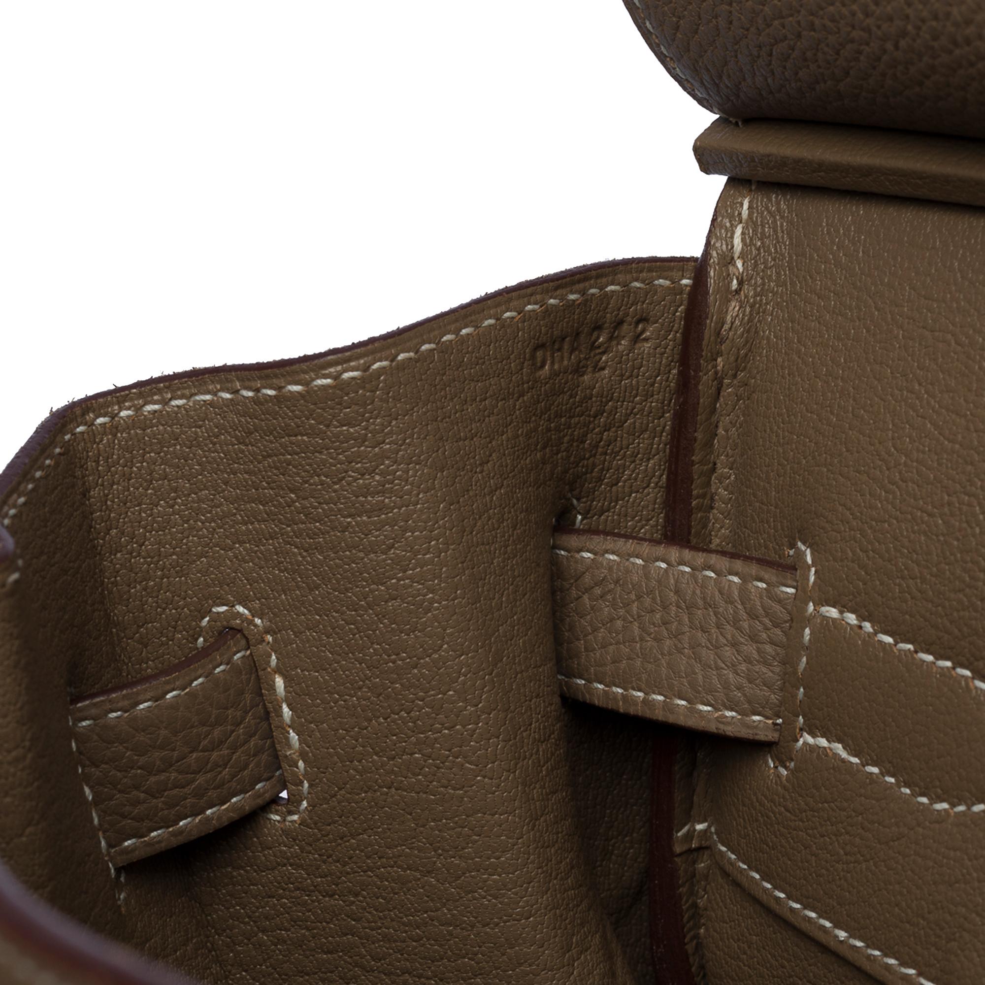Stunning Hermès Birkin 35 handbag in étoupe Togo leather, SHW In Excellent Condition In Paris, IDF