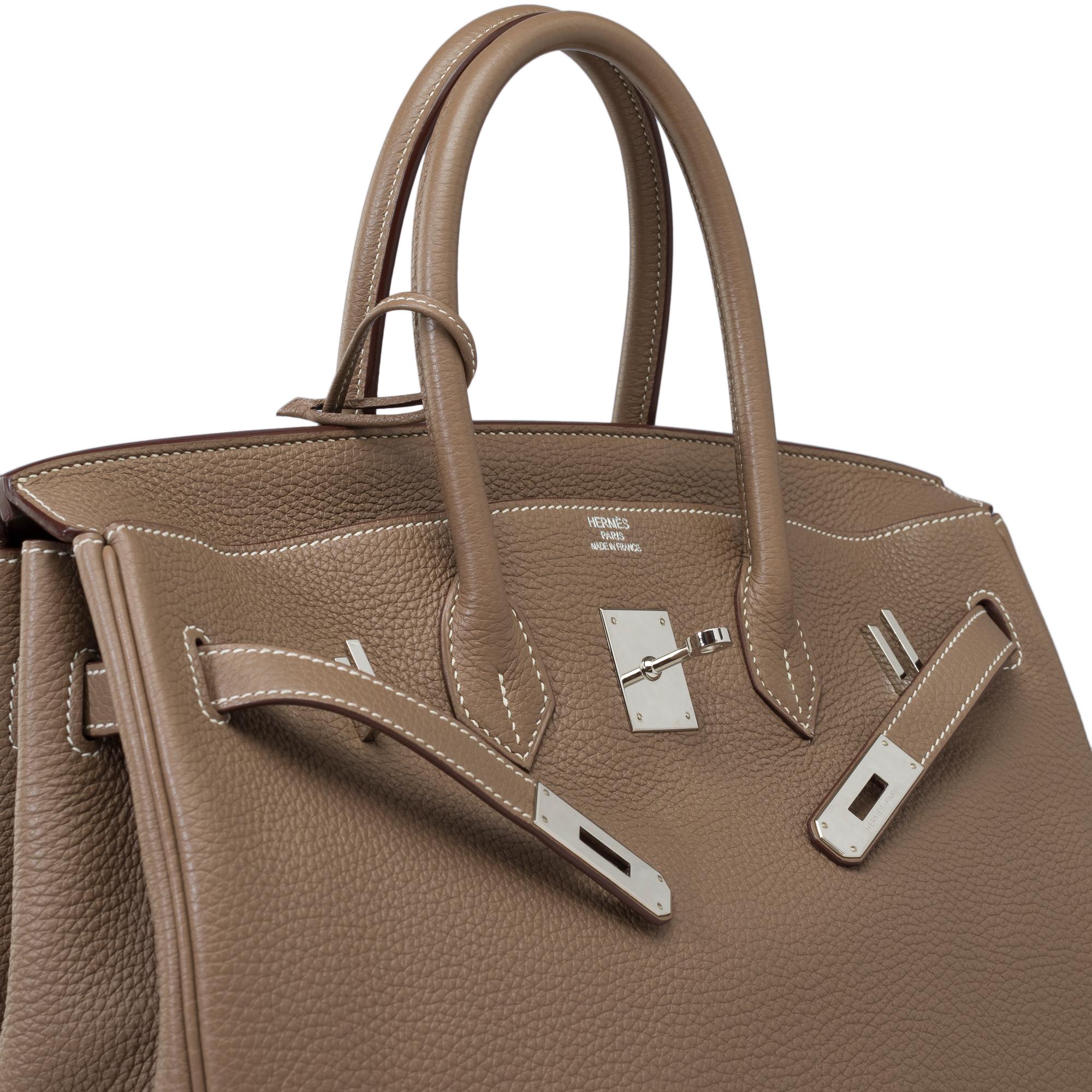 Stunning Hermès Birkin 35 handbag in etoupe Togo leather, SHW 4