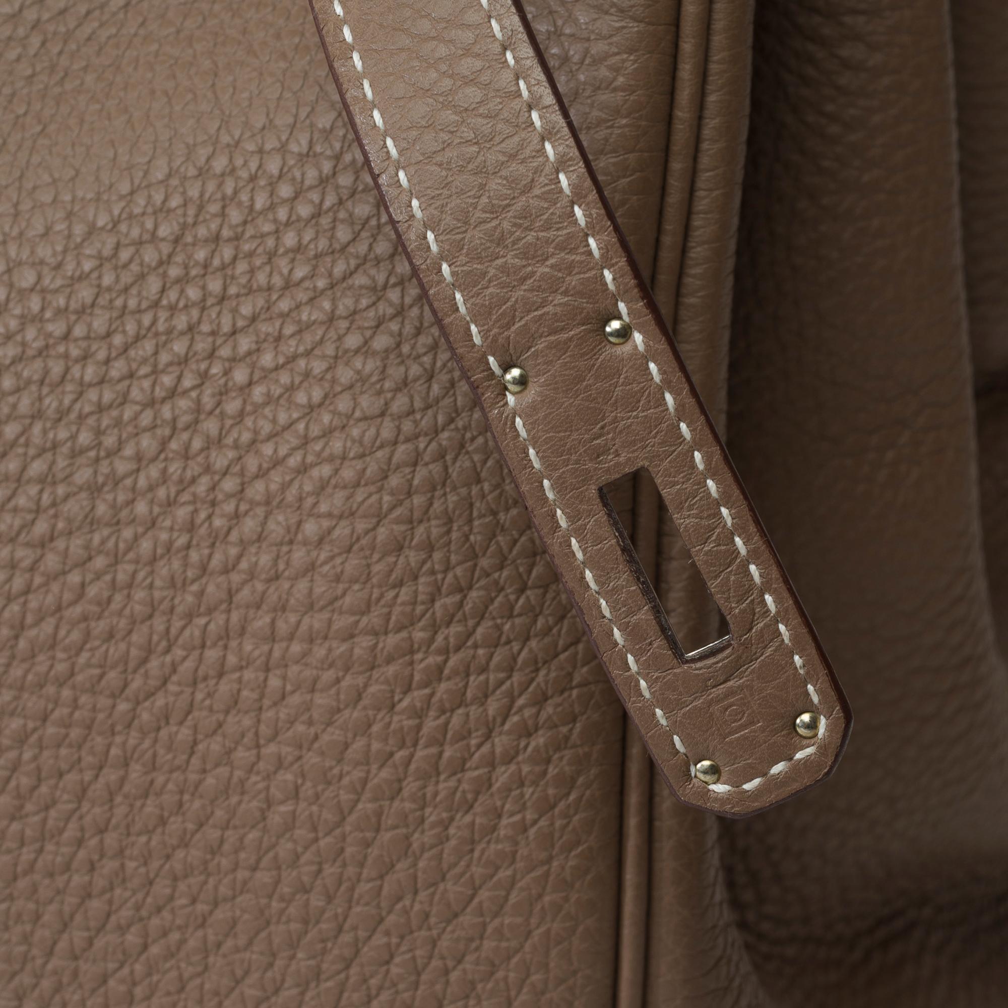 Stunning Hermès Birkin 35 handbag in etoupe Togo leather, SHW 5