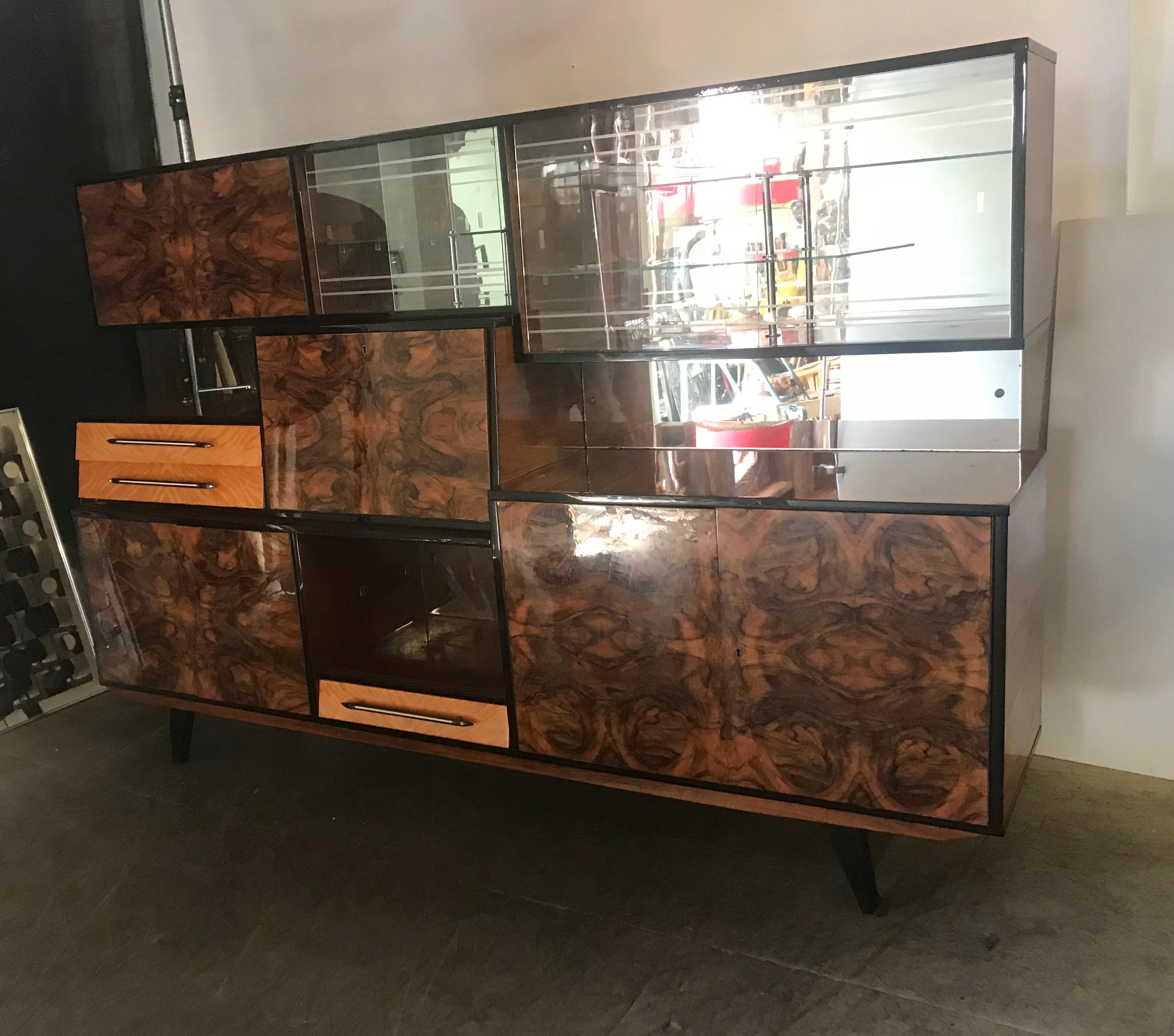 Glass Stunning Modernist Exotic Burl Wood Cabinet/Bar Attributed to Osvaldo Borsani