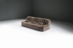 Splendido divano Kashima in velluto originale, disegnato da Michel Ducaroy per Ligne Roset nel 1980