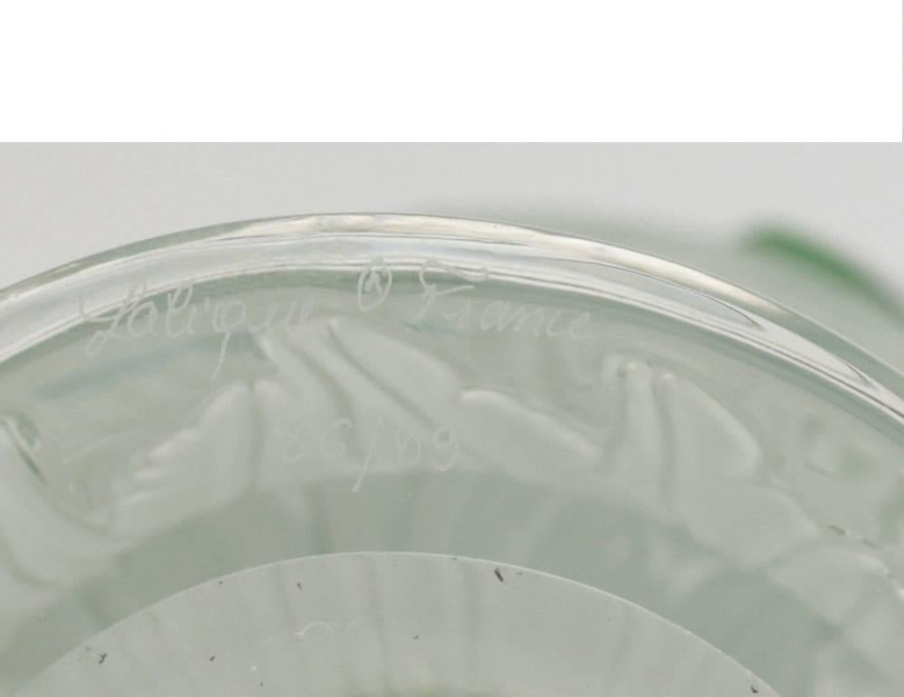 A stunning Lalique France molded frosted and green crystal macao macaw vase. Double green handles in the form of parrot heads with a bulbous body with in clear molded outlines a parrot feathers throughout the body. Pads to the underside. Limited