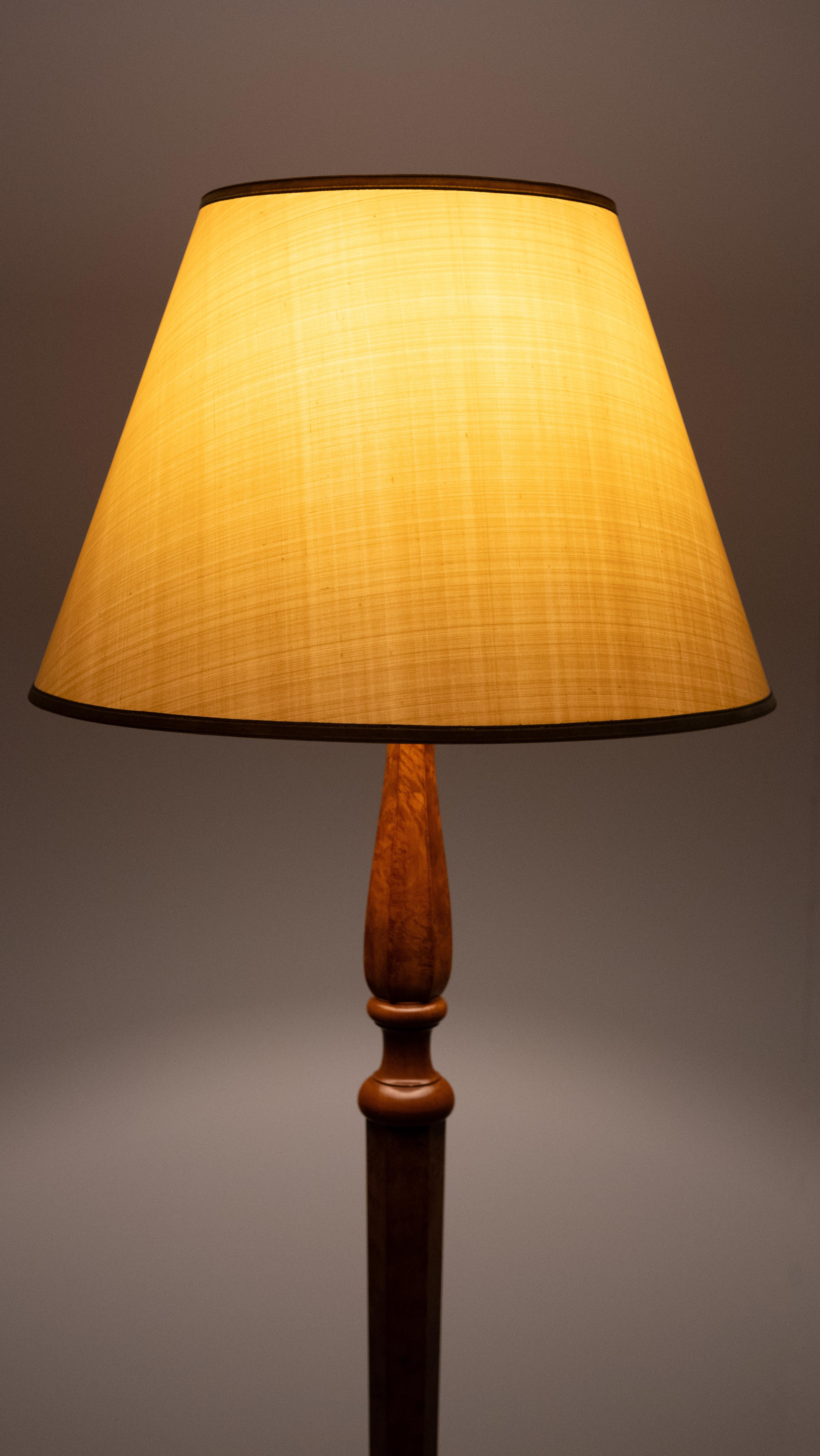 Stunning large Antique Biedermeier  Burl floor lamp . Germany For Sale 4