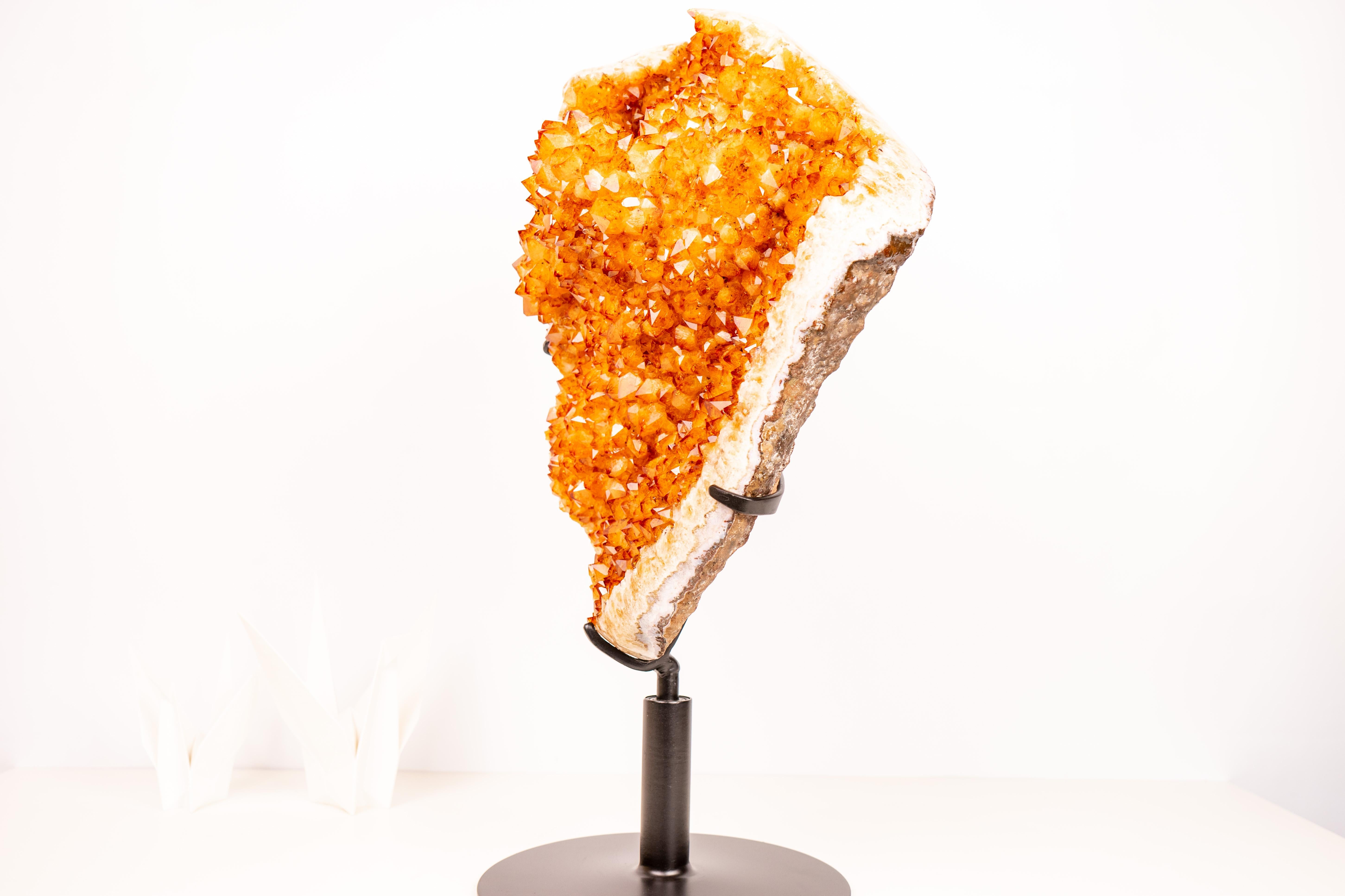 Large Statement Citrine Crystal Cluster – AAA-Grade with Large Stalactite Flower

▫️Description

An exceptional Citrine cluster, this large specimen features a well-formed, aesthetically striking stalactite flower along with sparkly, high-grade