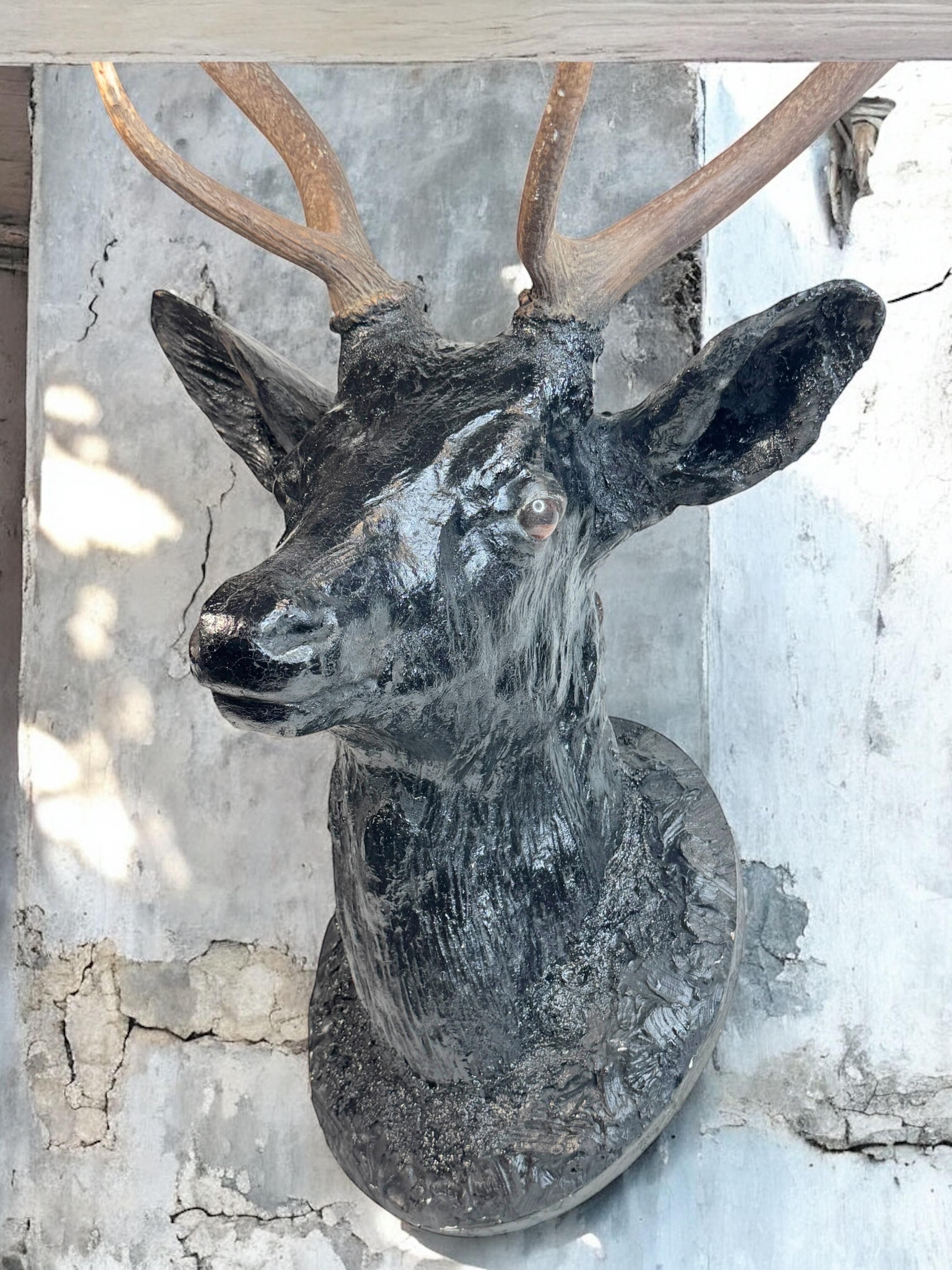 Superbe tête de cerf sculptée en bois d'art populaire avec de vrais bois, Autriche, années 1910 en vente 3