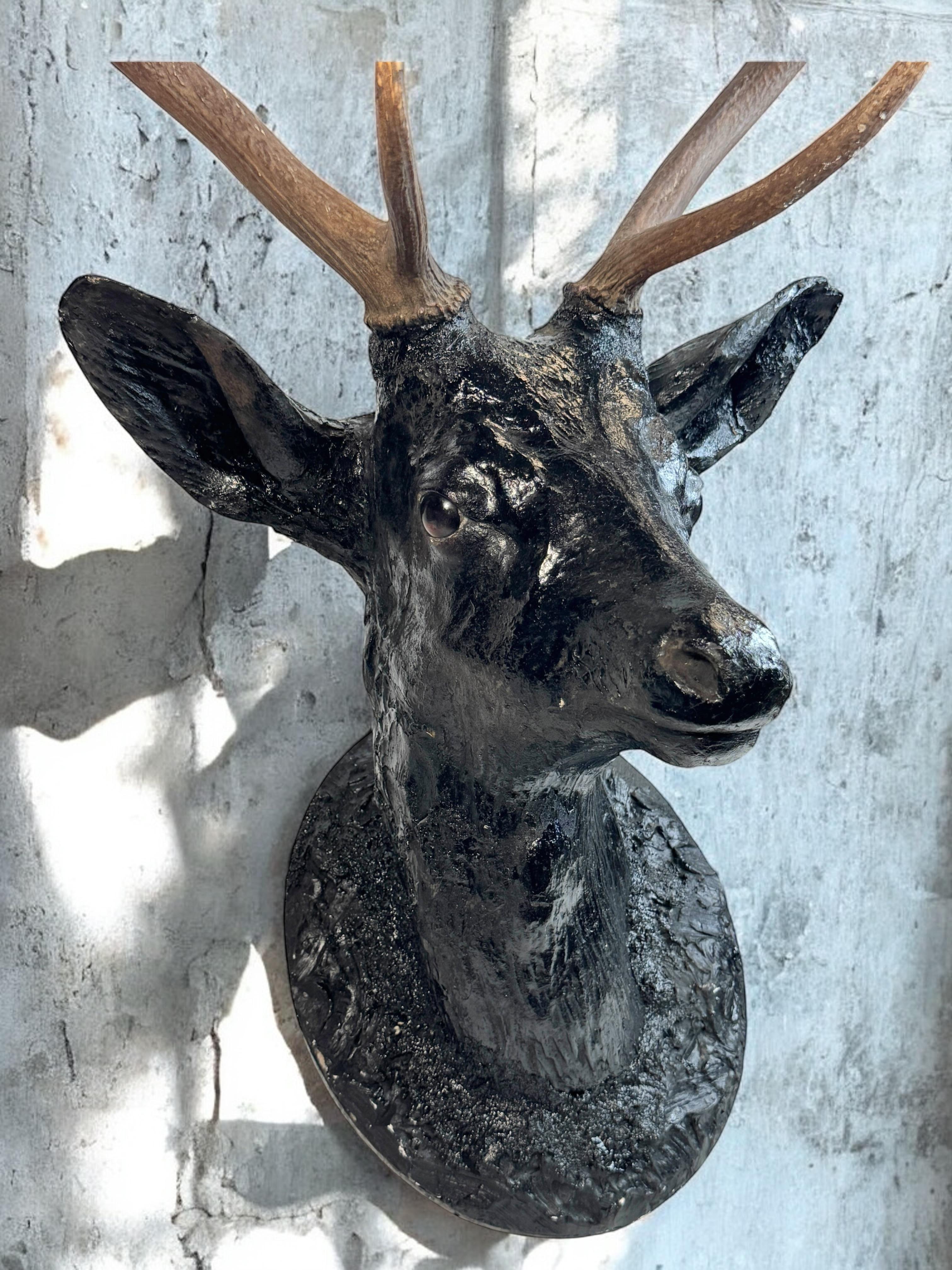 Superbe tête de cerf sculptée en bois d'art populaire avec de vrais bois, Autriche, années 1910 en vente 4