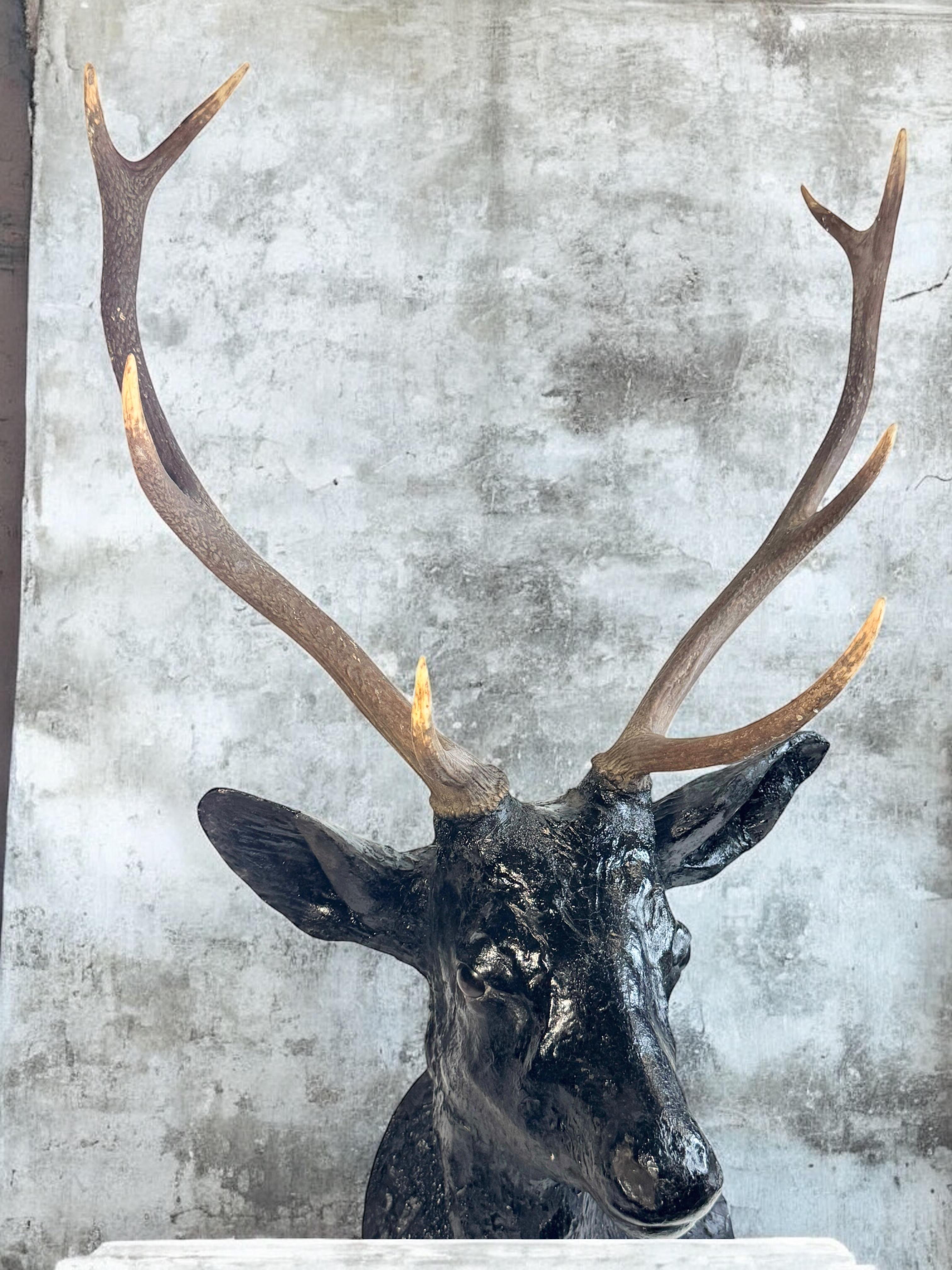 Superbe tête de cerf sculptée en bois d'art populaire avec de vrais bois, Autriche, années 1910 en vente 5