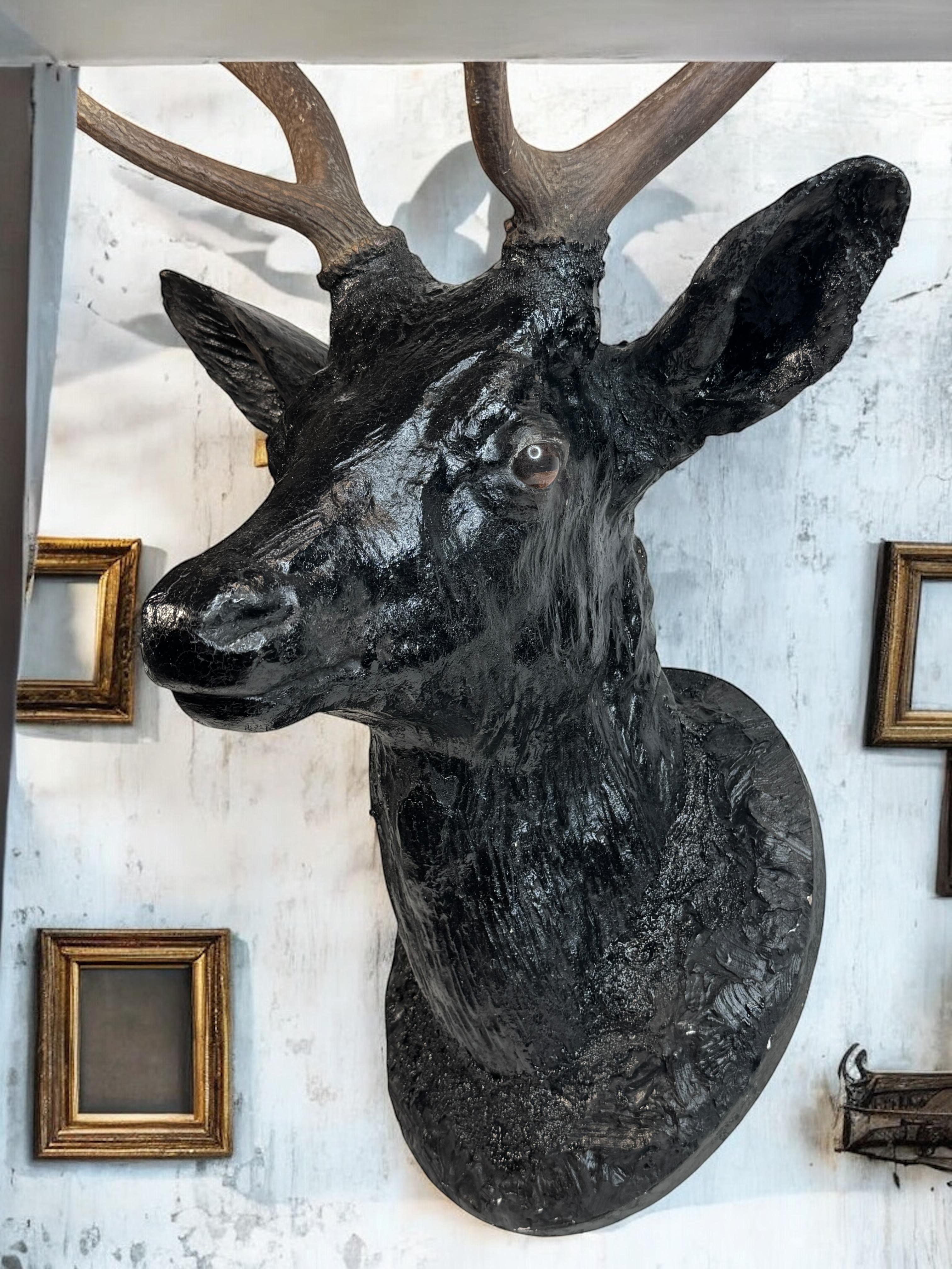 Superbe tête de cerf sculptée en bois d'art populaire avec de vrais bois, Autriche, années 1910 en vente 8