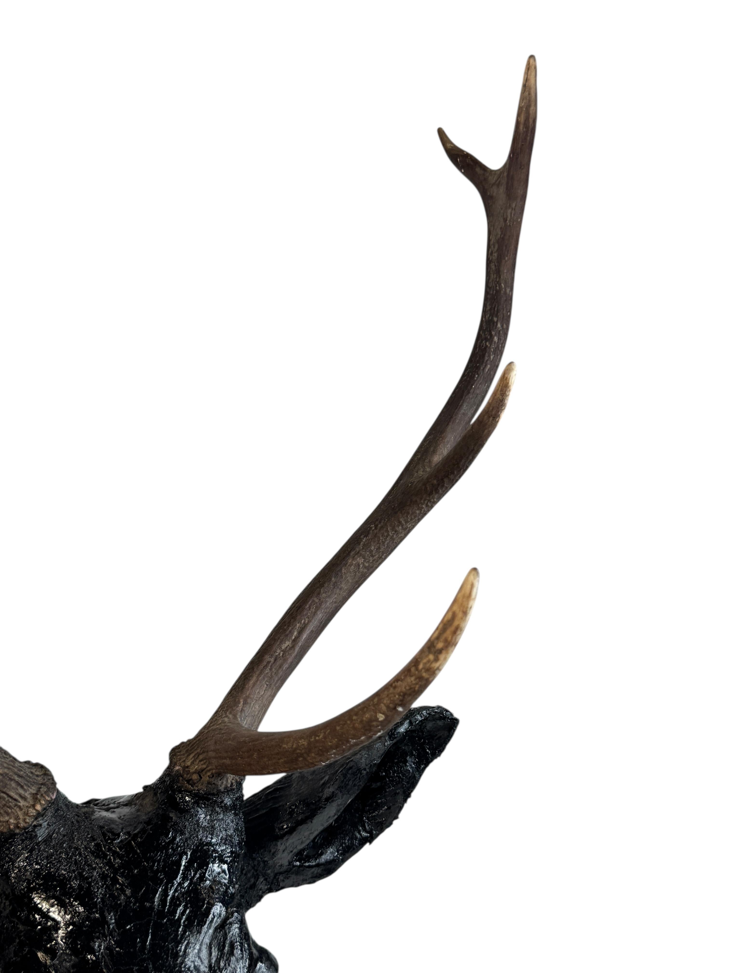 Sculpté à la main Superbe tête de cerf sculptée en bois d'art populaire avec de vrais bois, Autriche, années 1910 en vente