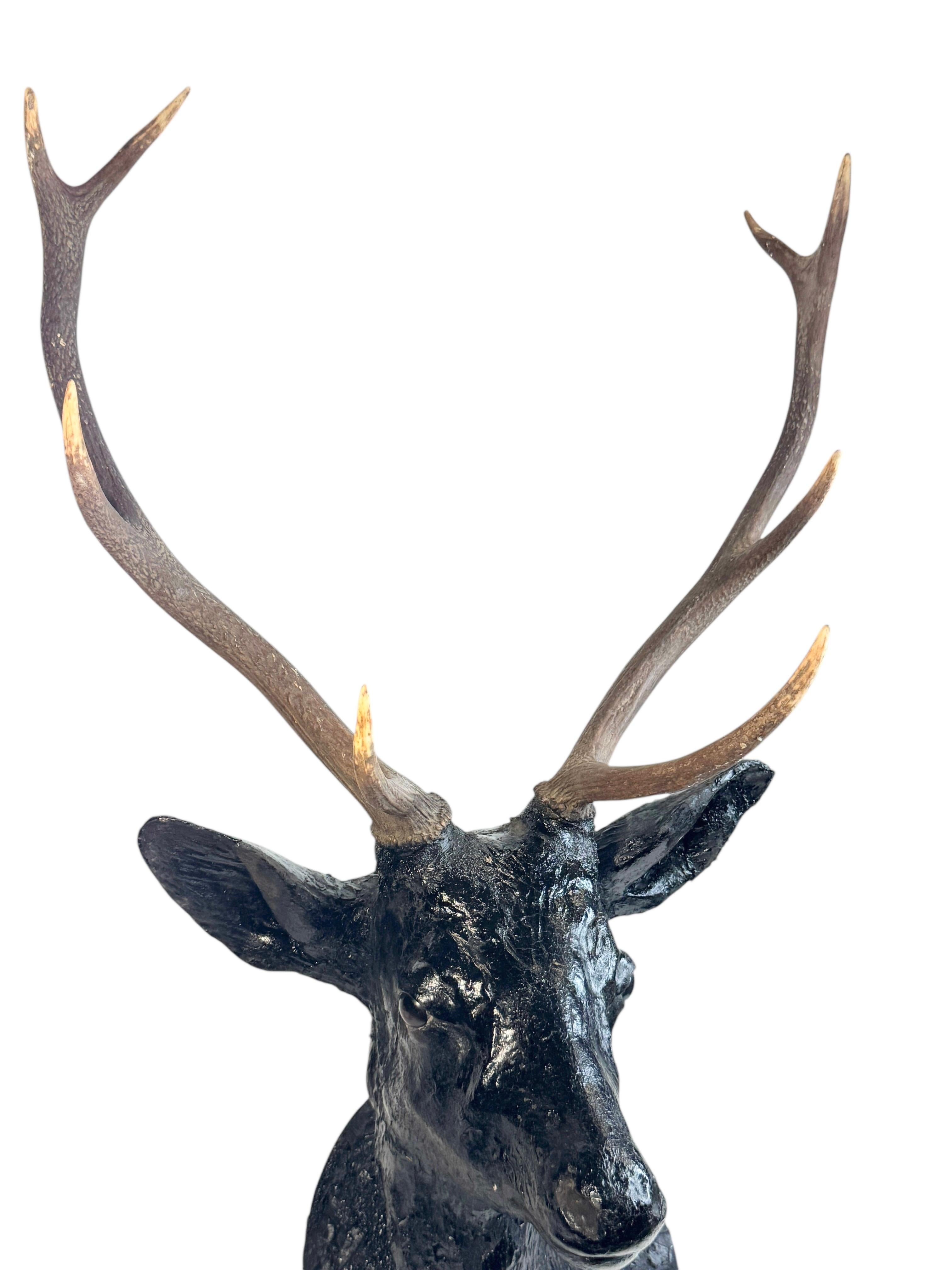 20ième siècle Superbe tête de cerf sculptée en bois d'art populaire avec de vrais bois, Autriche, années 1910 en vente