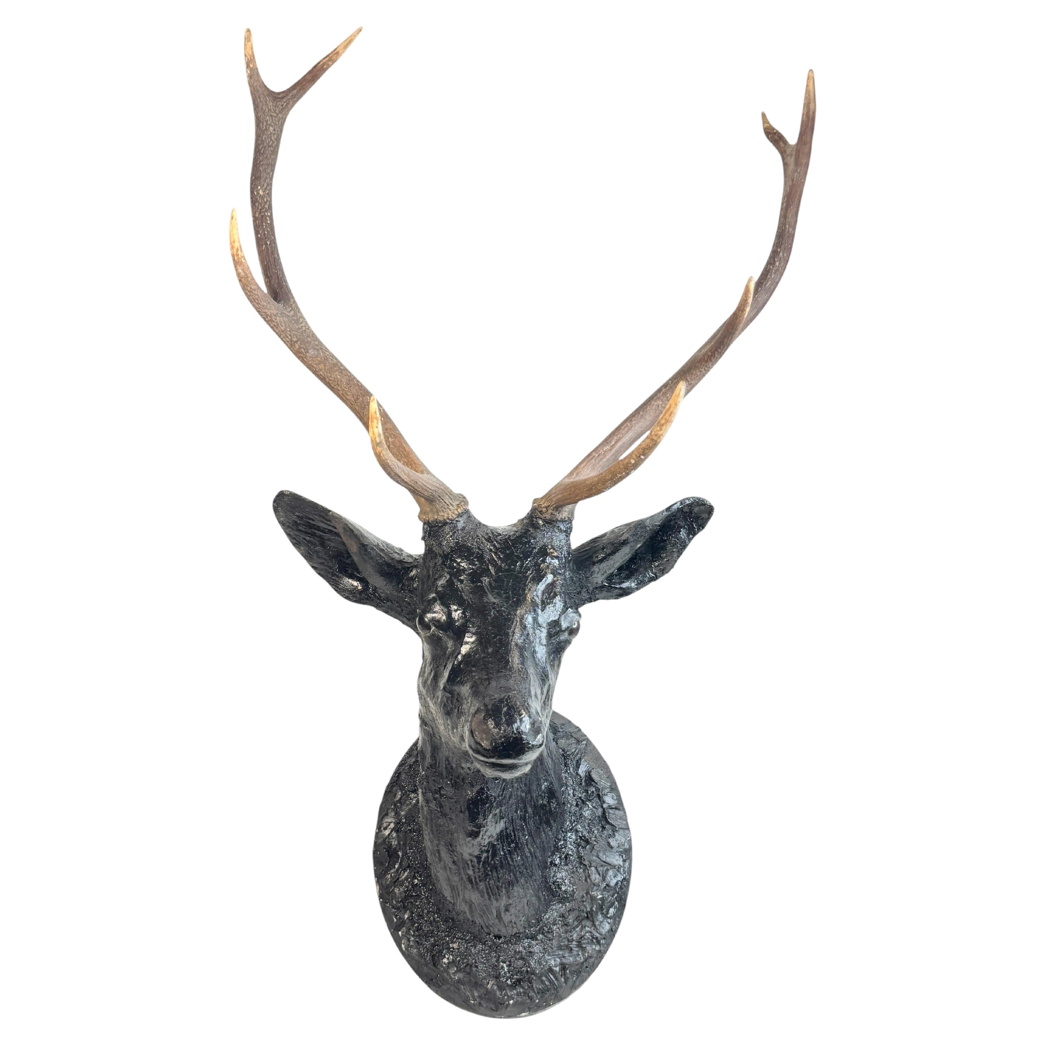 Stunning Large Folk Art Wood Carved Deer Head with Real Antlers, Austria 1910s