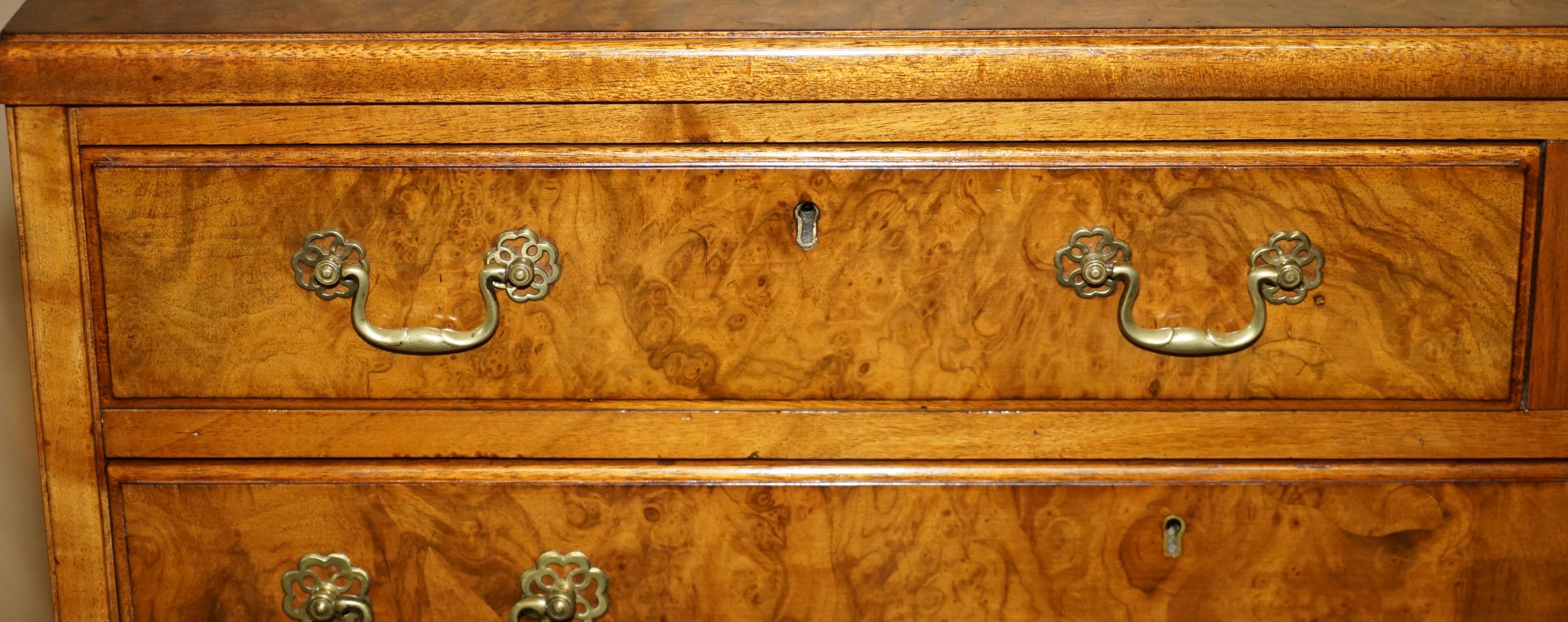 Stunning Large Sideboard Sized Bank or Chest of Drawers in Burr and Burl Walnut 2