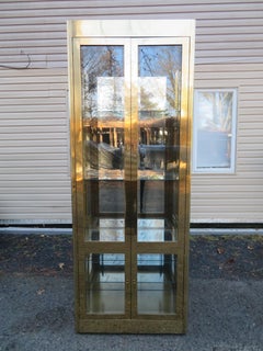 Atemberaubende Mastercraft-Vitrine aus Messing, Mid-Century Regency Modern