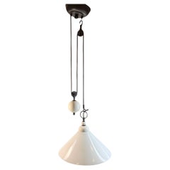 Stunning Menzel Provence La Maison Pendulum Opal Shade Pendant Light