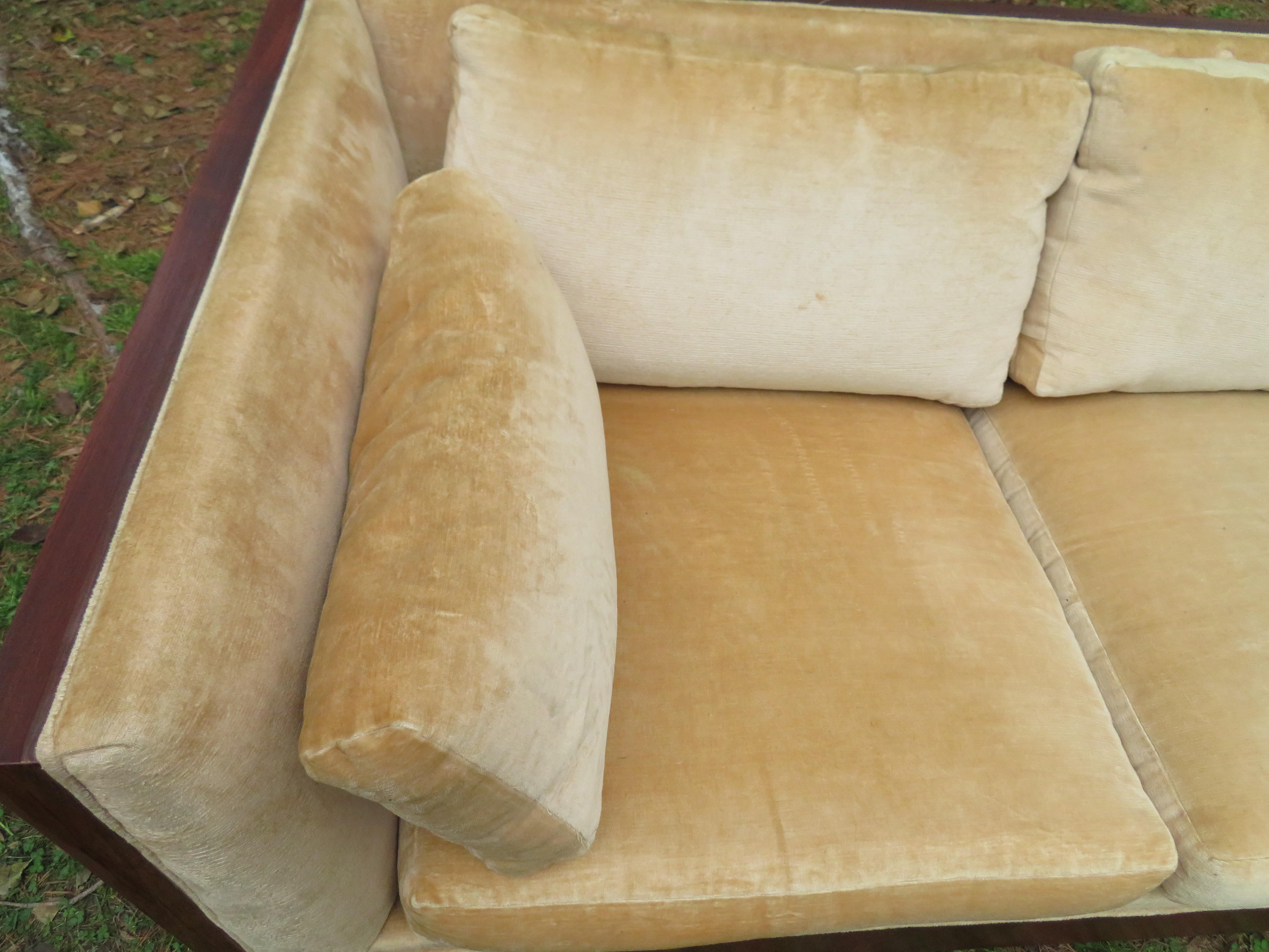 Stunning Milo Baughman Rosewood Case Sofa Mid-Century Modern 1