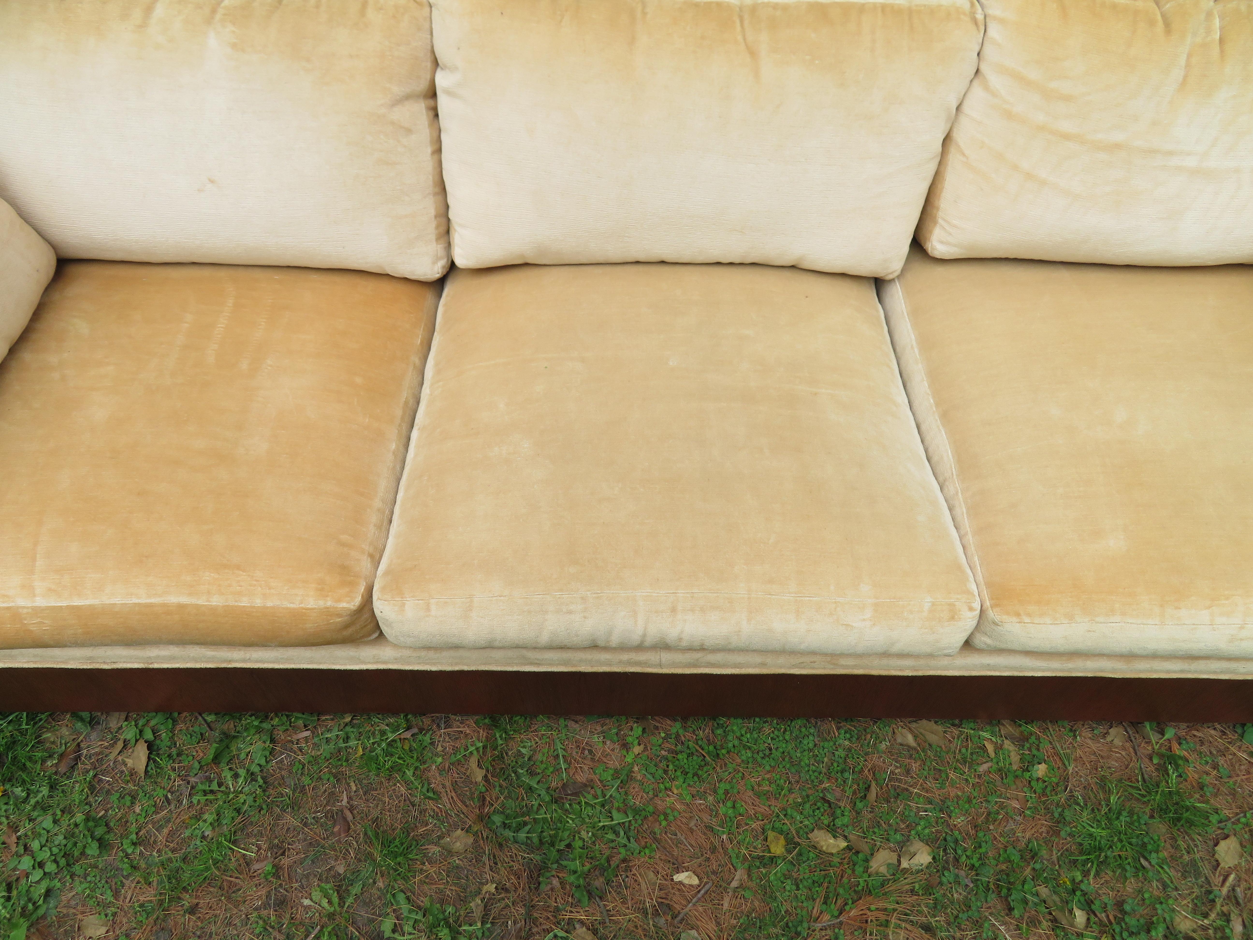 Stunning Milo Baughman Rosewood Case Sofa Mid-Century Modern 4