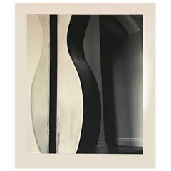 Stunning Modernist, Photograph NYC Artist Tracy Marciano