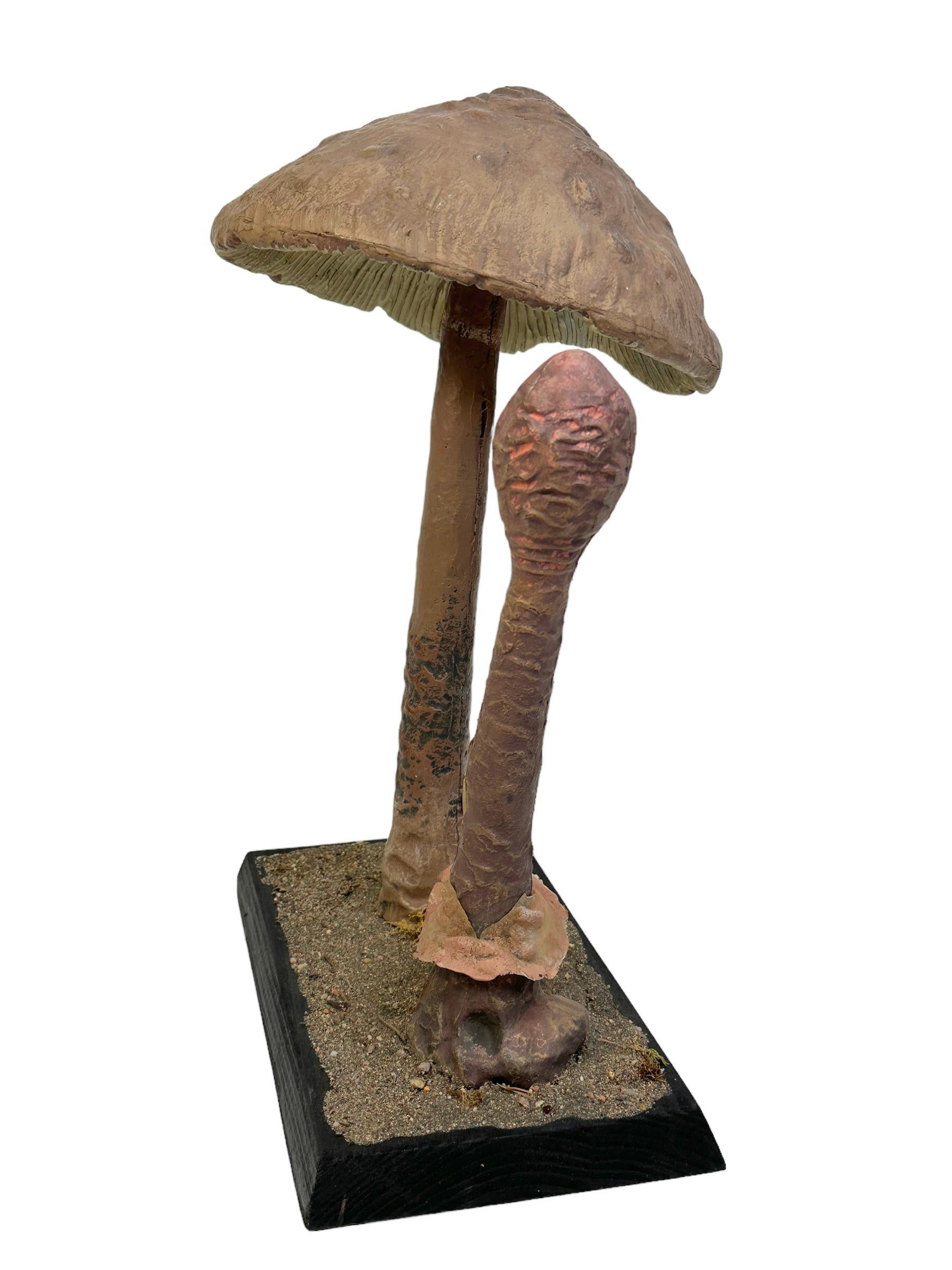 Hand-Crafted Stunning Mushroom Botanical Scientific Specimen Model Europe,  1950s or older For Sale