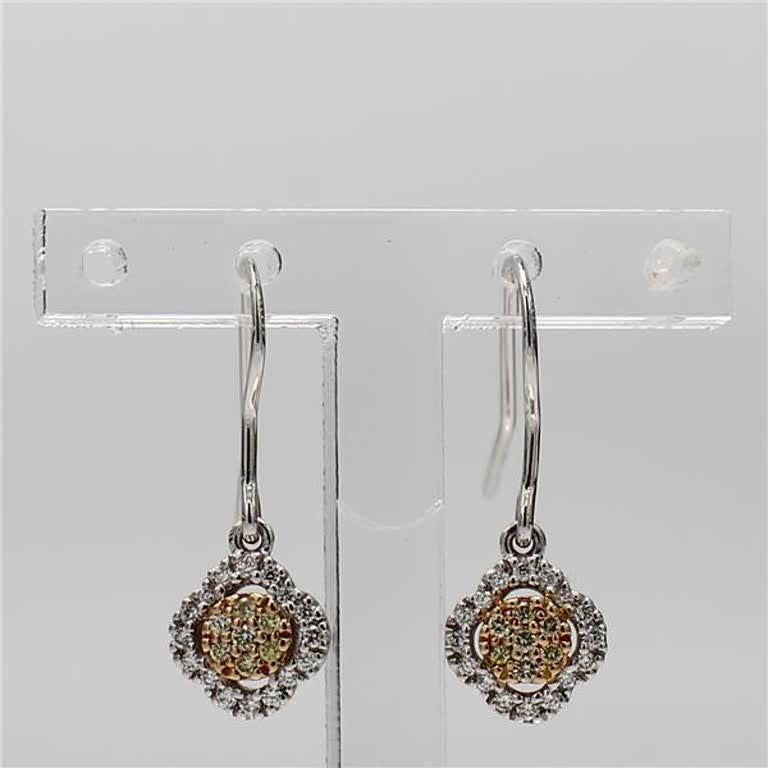 RareGemWorld's classic natural cluster diamond earrings. Mounted in a beautiful 14K Yellow and White Gold setting with natural round yellow diamonds and white diamonds. These earrings include a single halo of yellow diamond melee as well as a row of