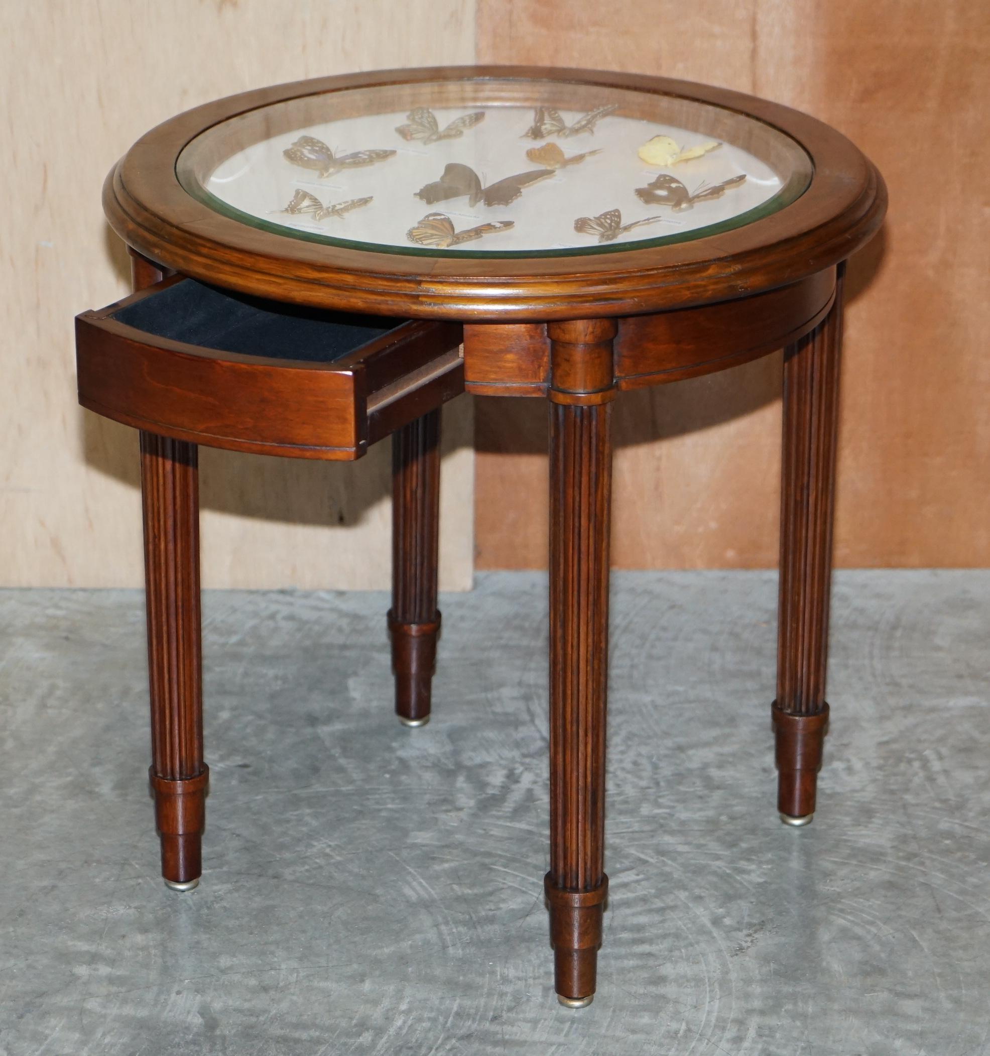 English Stunning Occasional Side Table with Butterfly Entomology Display Case Must See For Sale