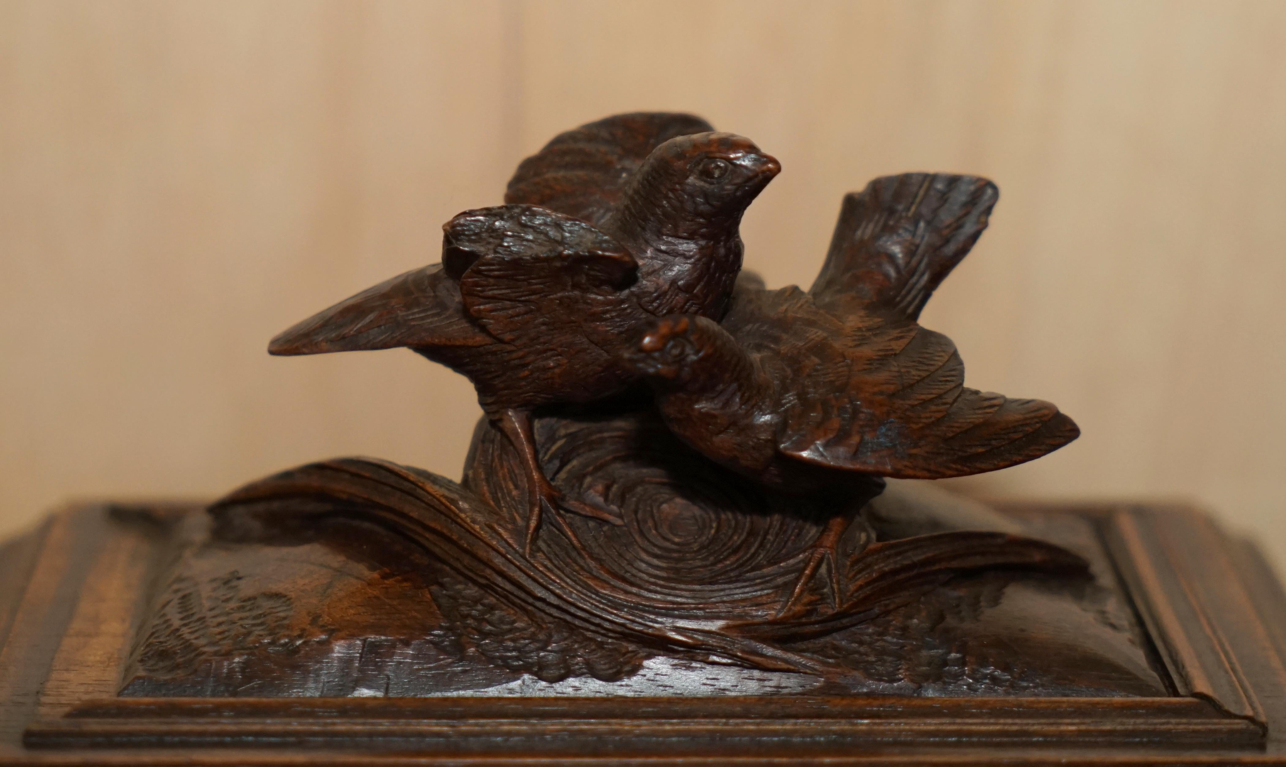 Late 19th Century Stunning Original Antique Hand Carved Black Forest Wood Jewellery Box For Sale