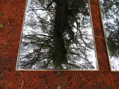 Superbe paire de miroirs gothiques en forme de cathédrale de l'abbaye Hobey Helen Baker
